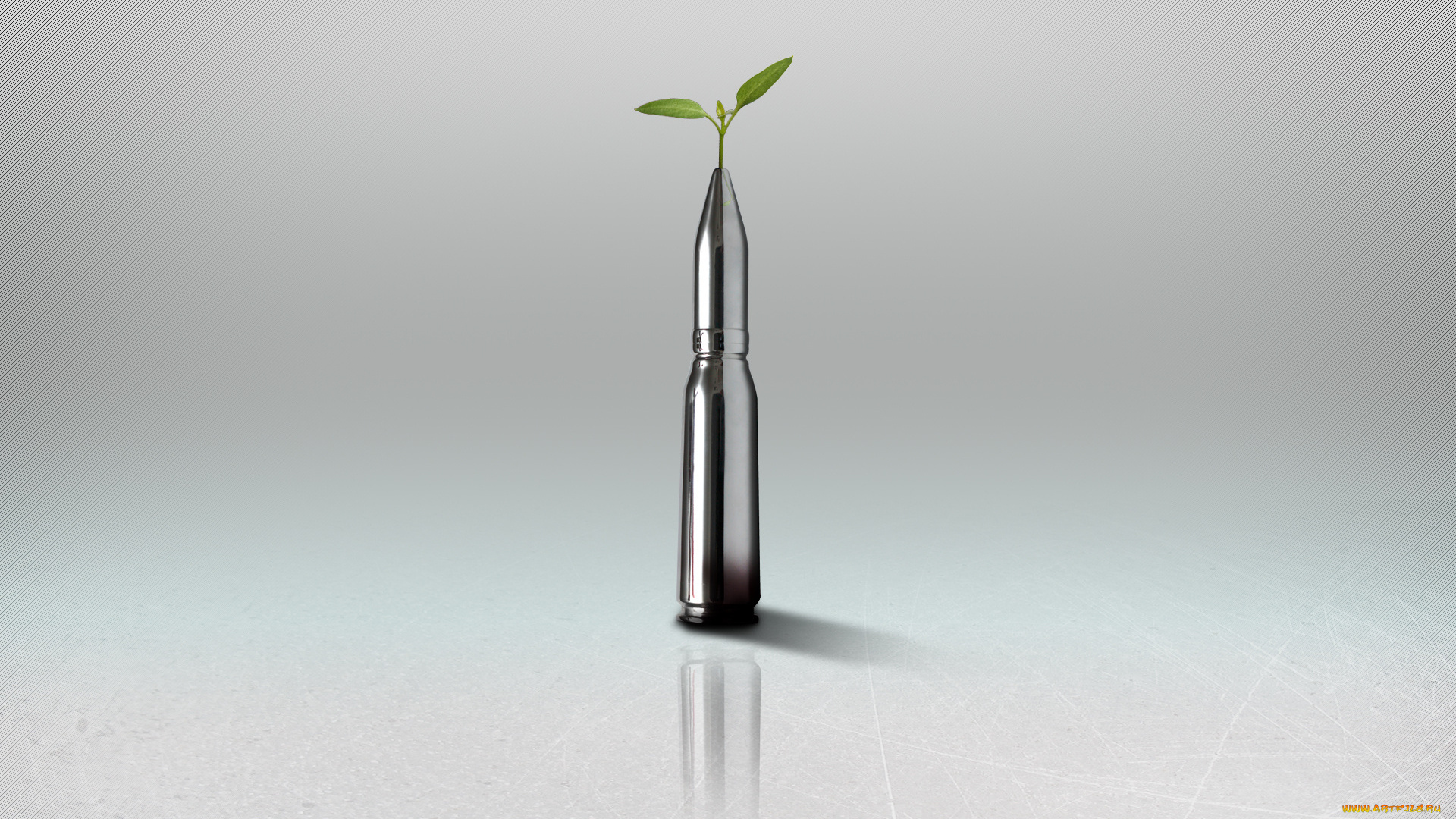 3д, графика, другое, патрон, отражение, росток