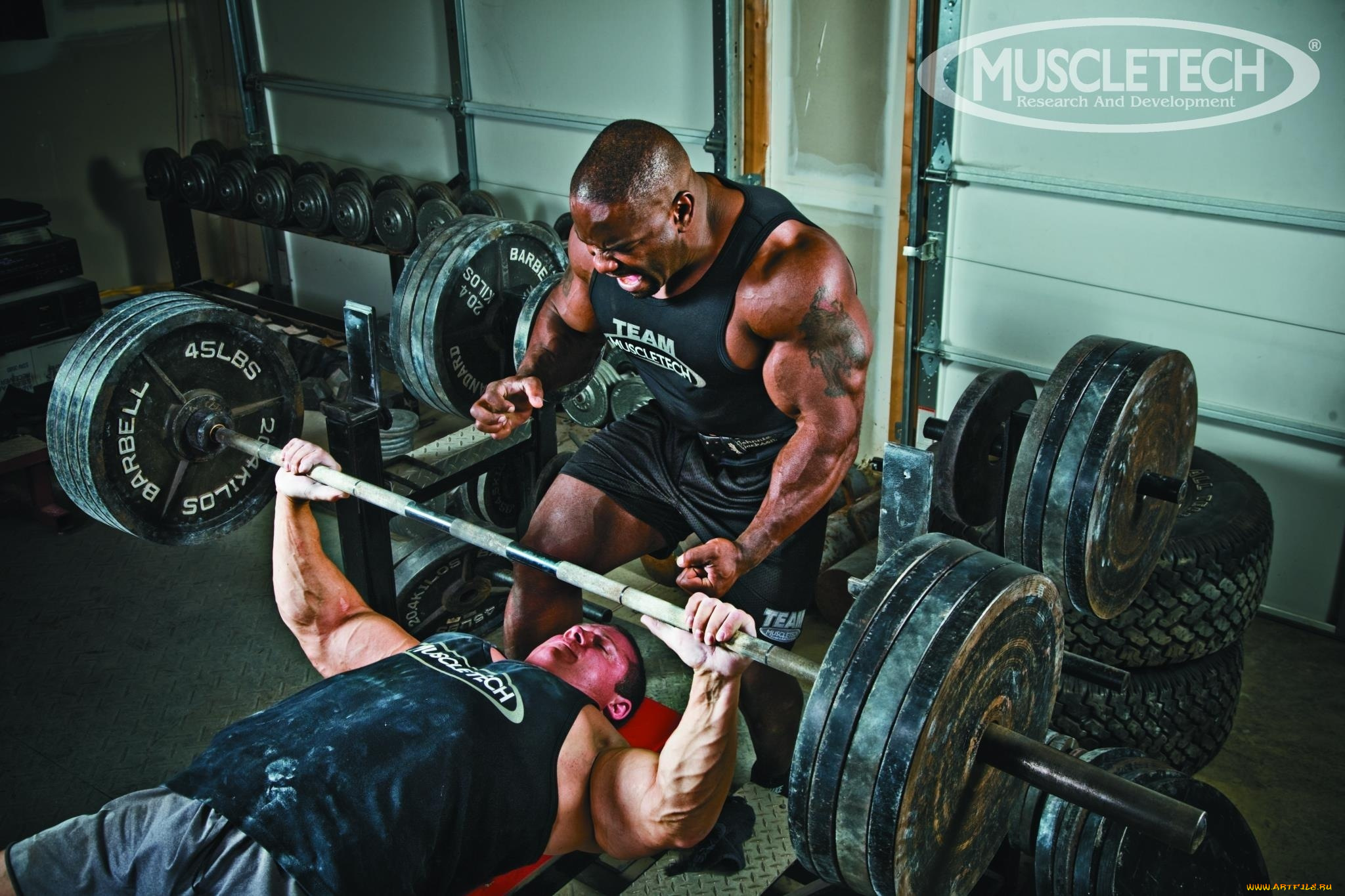 muscletech, бренды, johnnie, jackson, seth, feroce