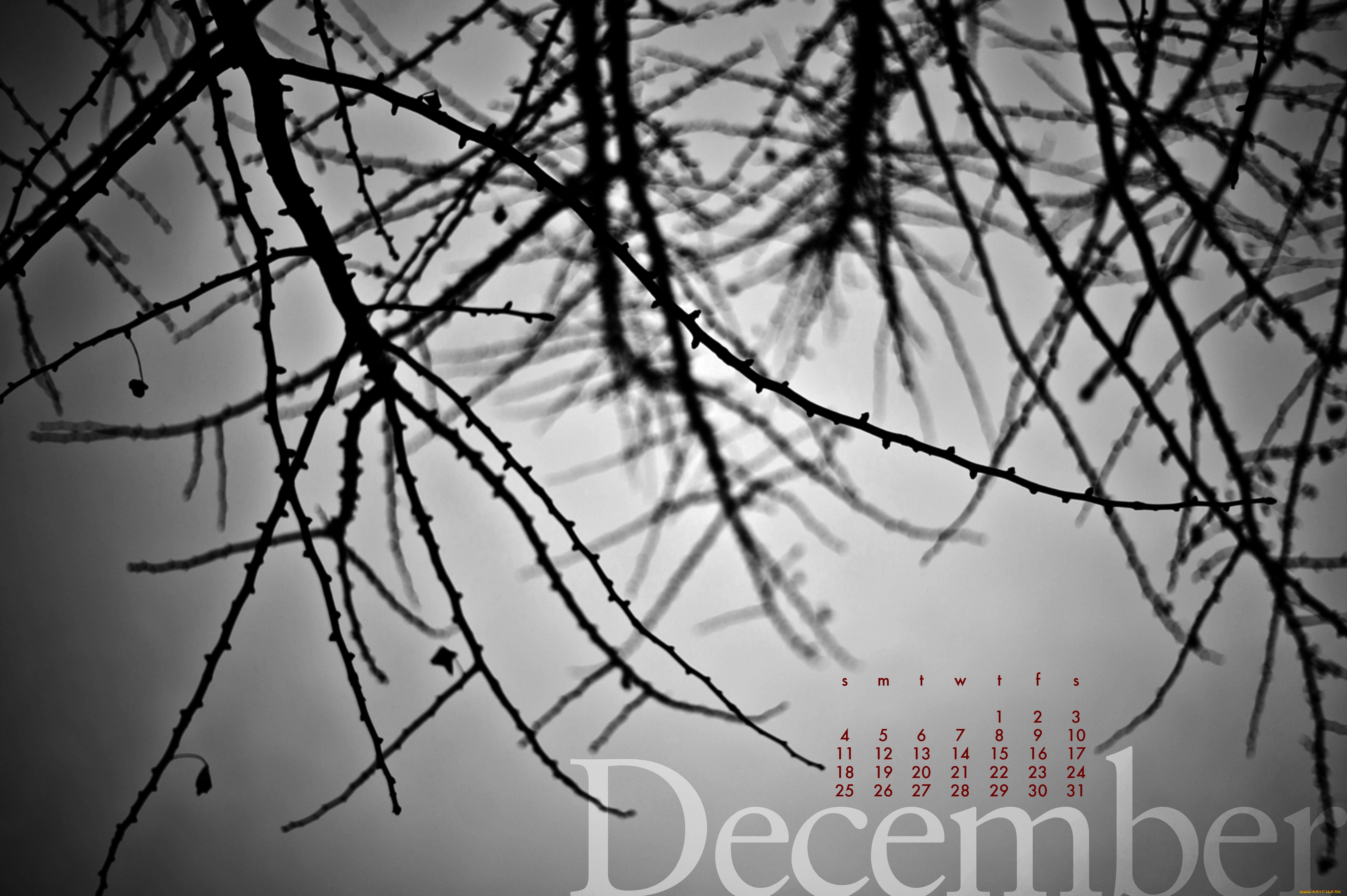 календари, природа, ветки