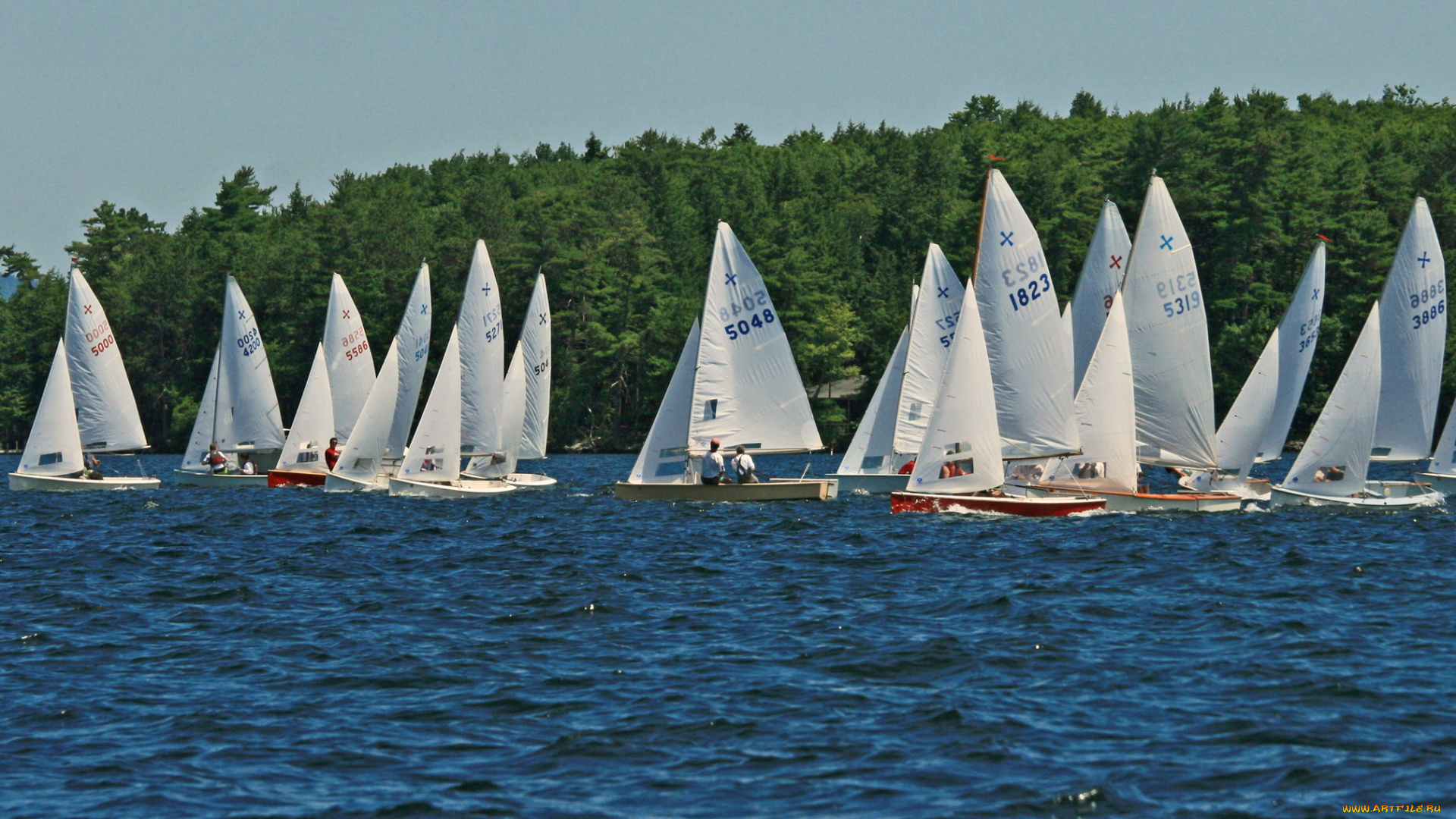 корабли, парусники, море, парусник