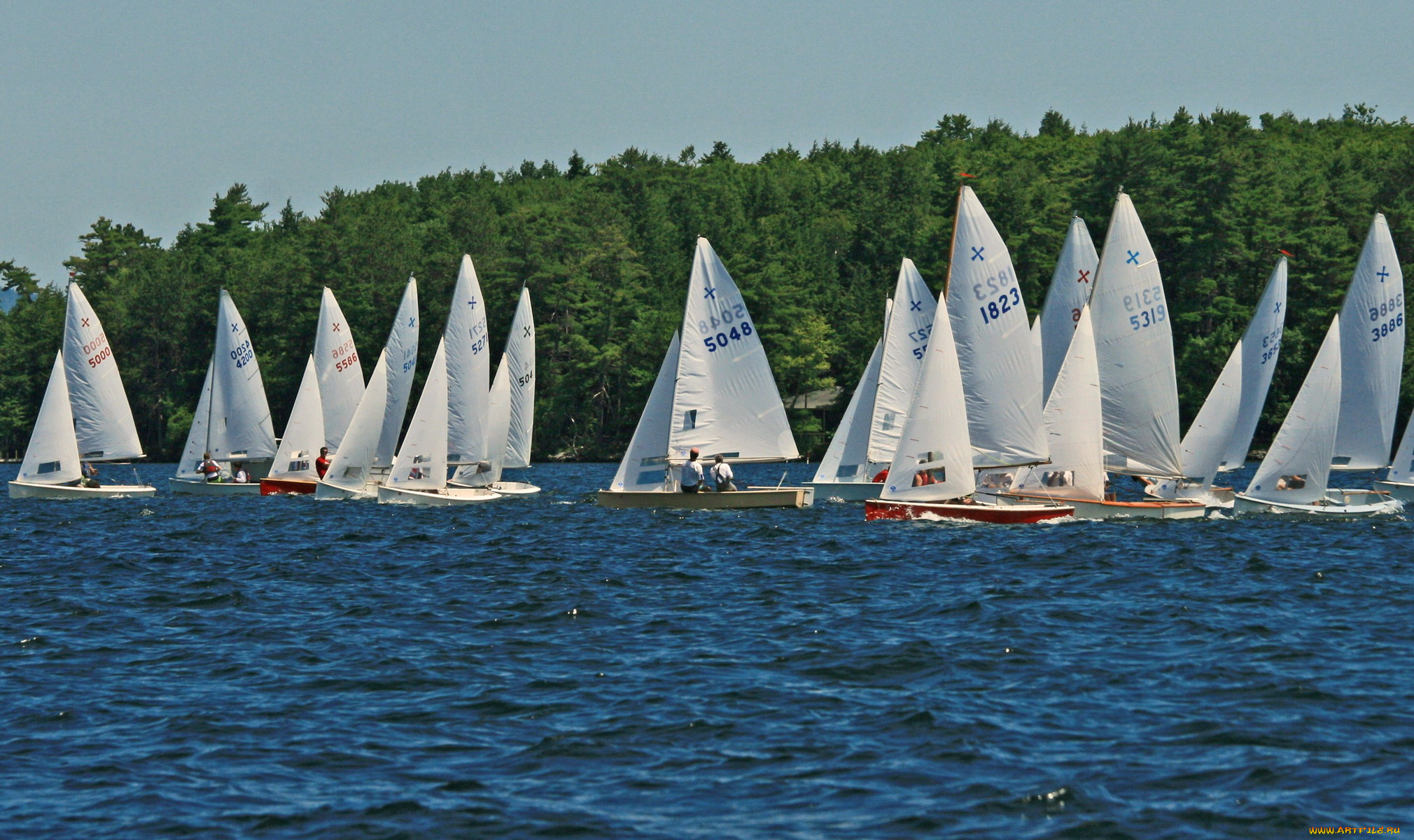 корабли, парусники, море, парусник