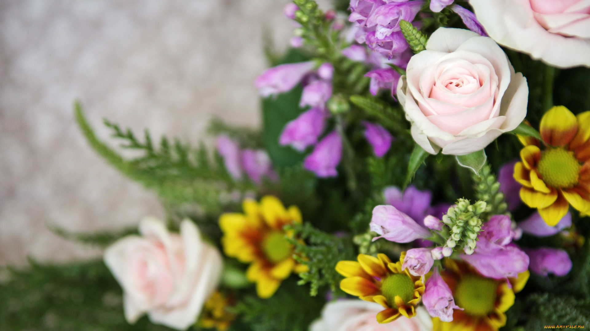 цветы, разные, вместе, розы, хризантемы