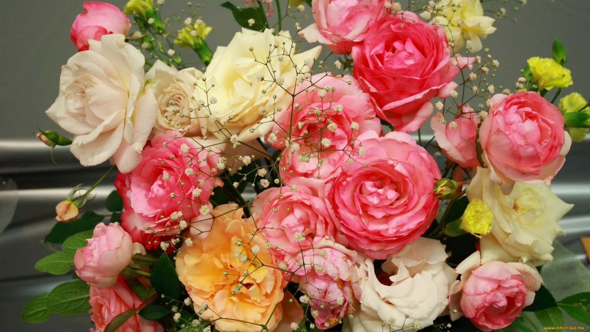 цветы, розы, букет, gypsophila