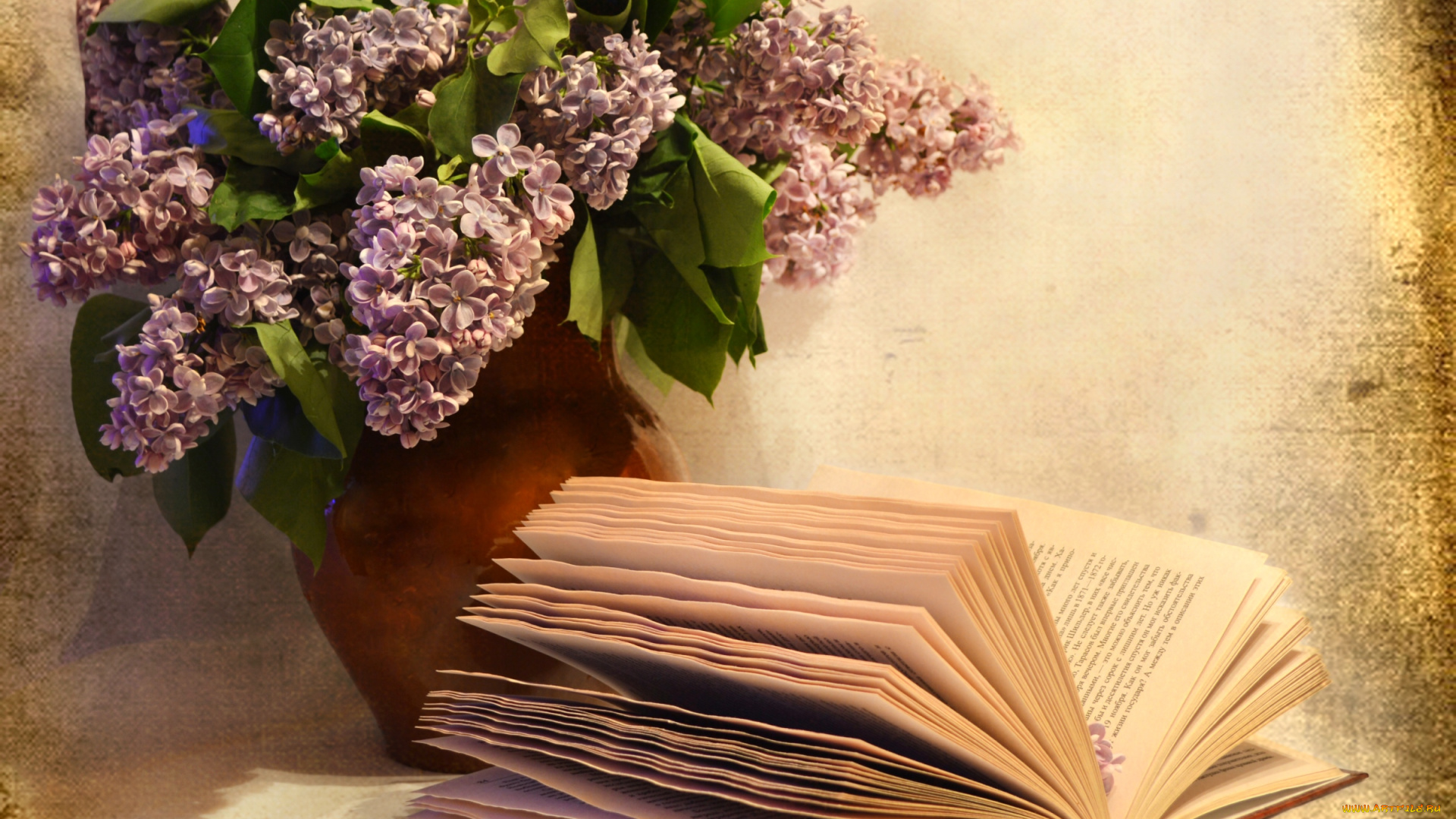 цветы, сирень, книга, букет