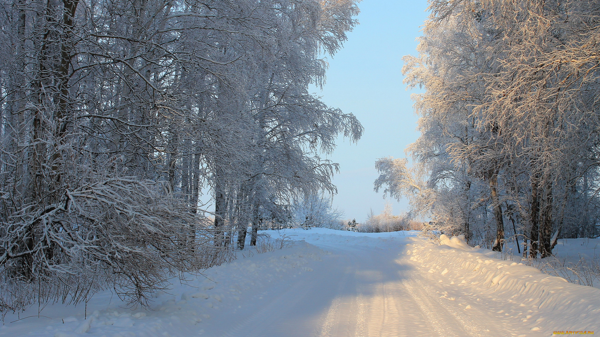 природа, зима, снег, дорога, деревья