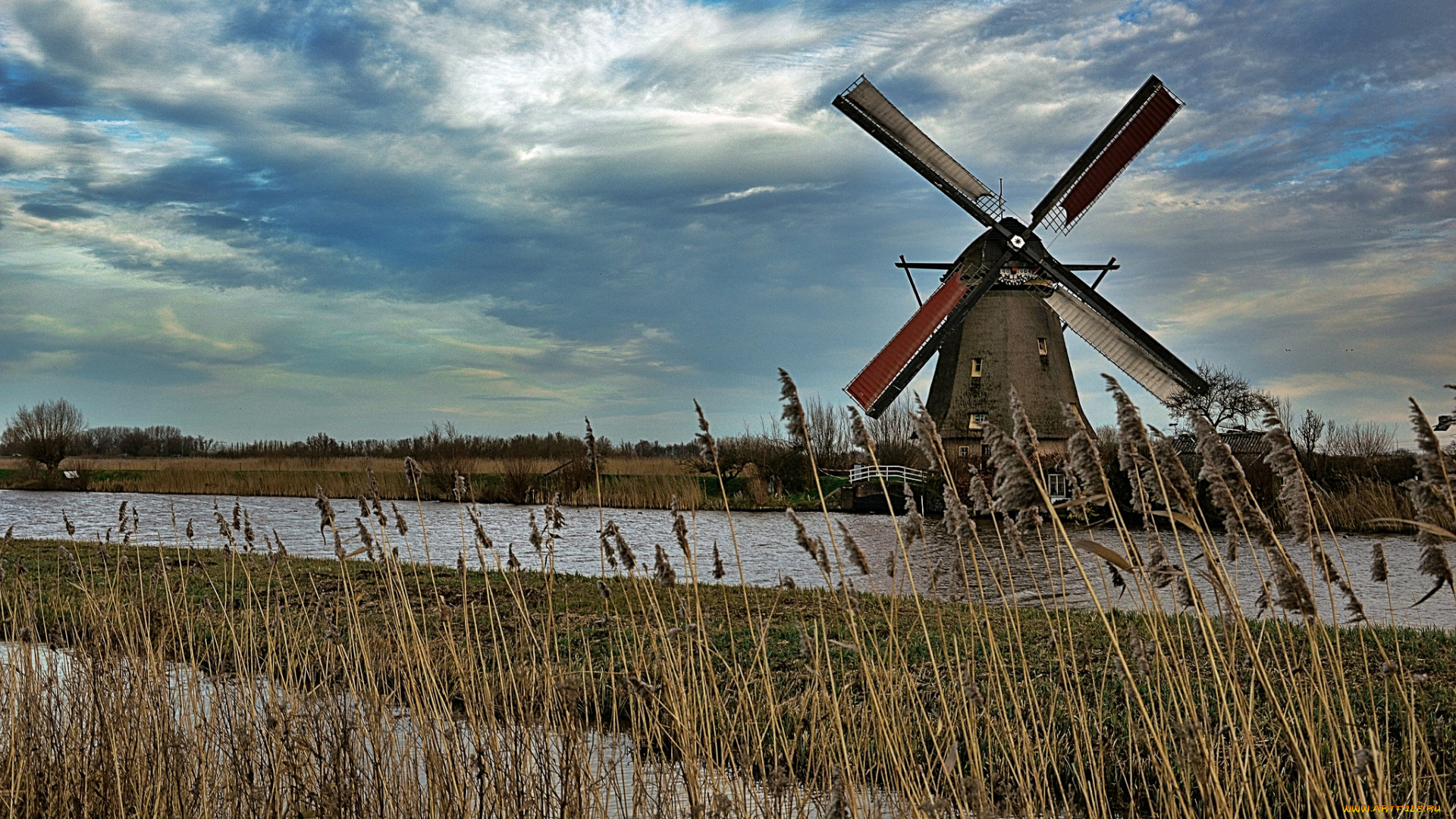 разное, мельницы, ветряк, мельница, тростник, река