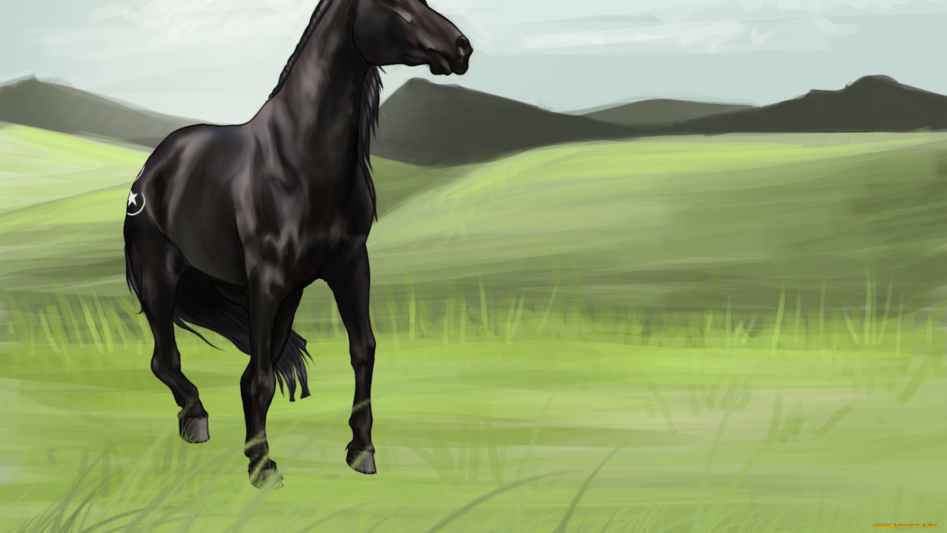 рисованные, животные, , лошади, луг, лошадь