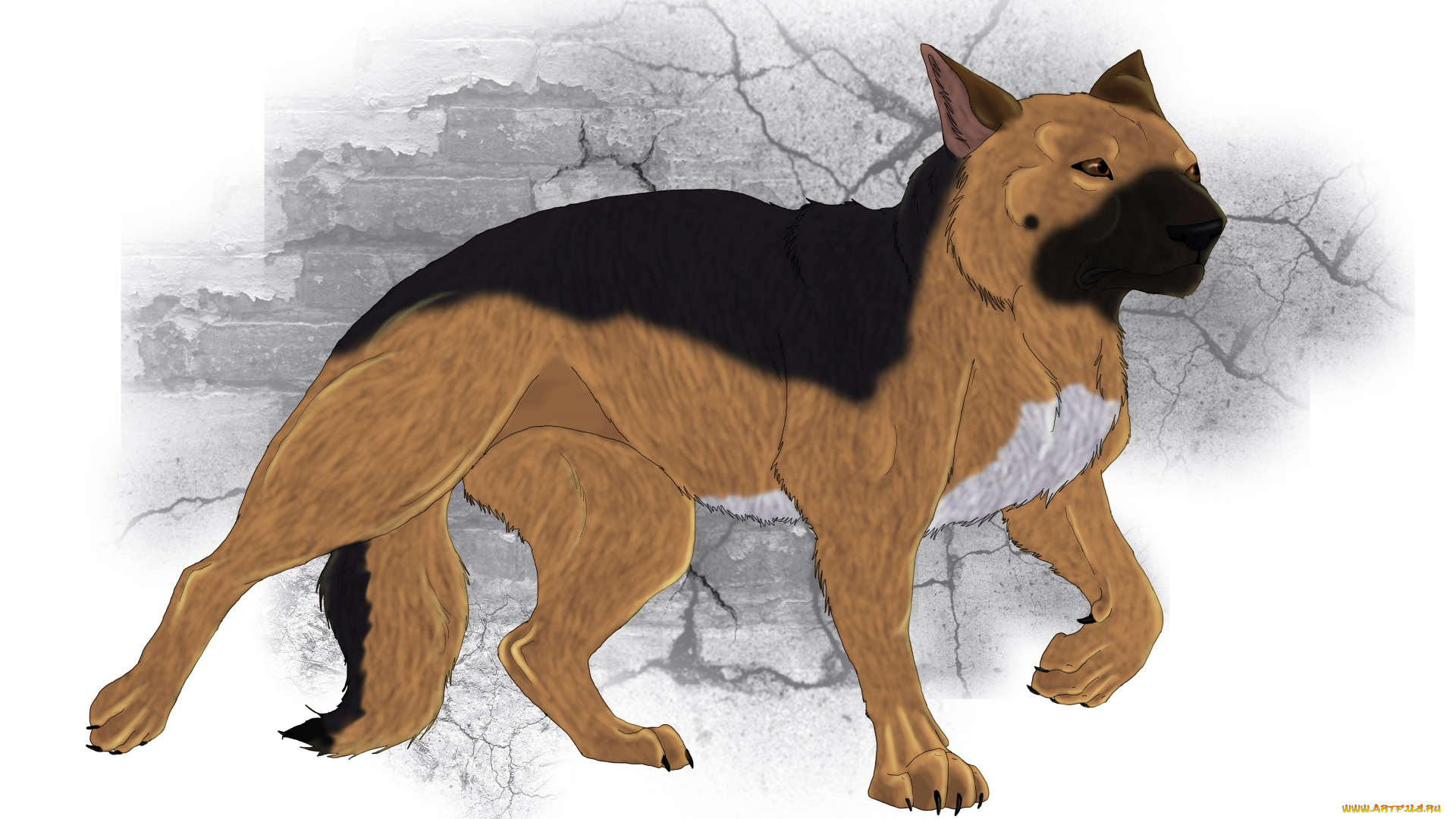 рисованные, животные, , собаки, собака