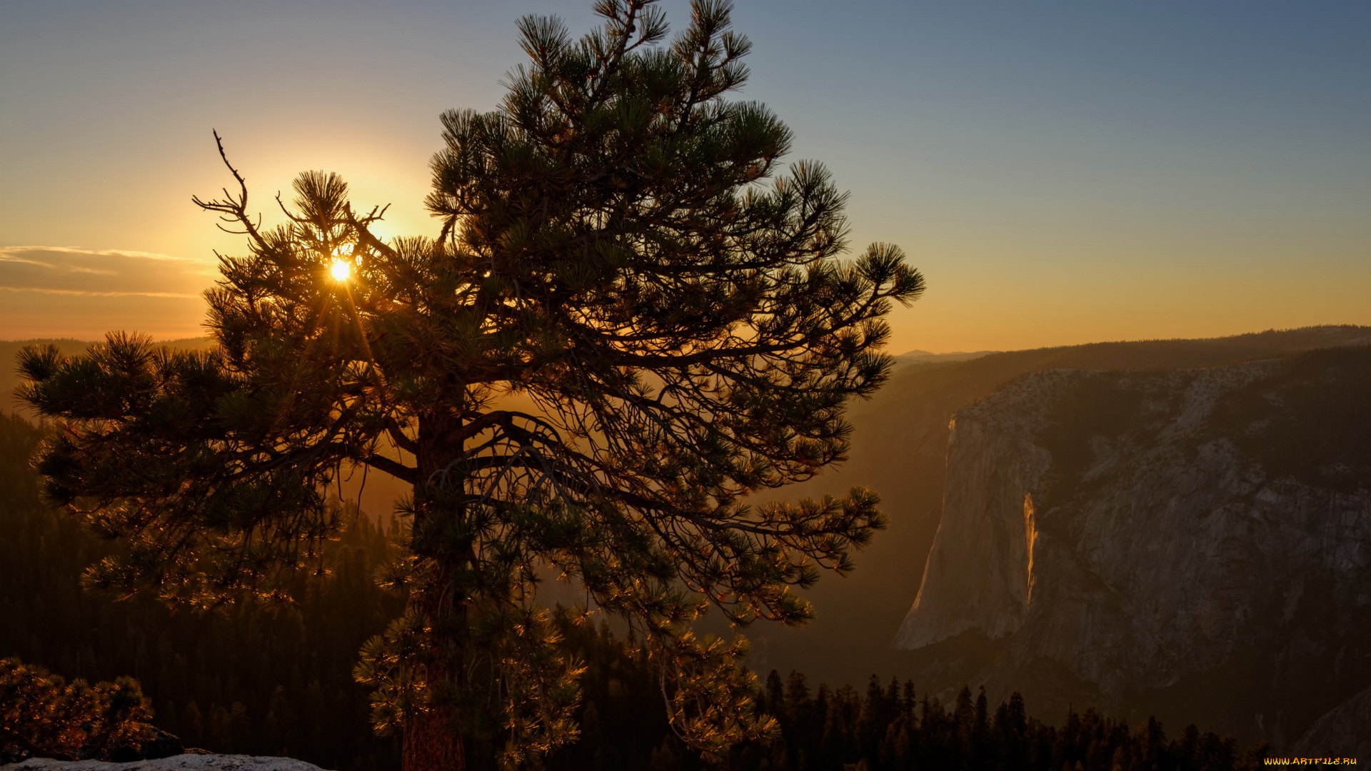 yosemite, national, park, природа, восходы, закаты, yosemite, national, park, закат, горы, сосна, лес