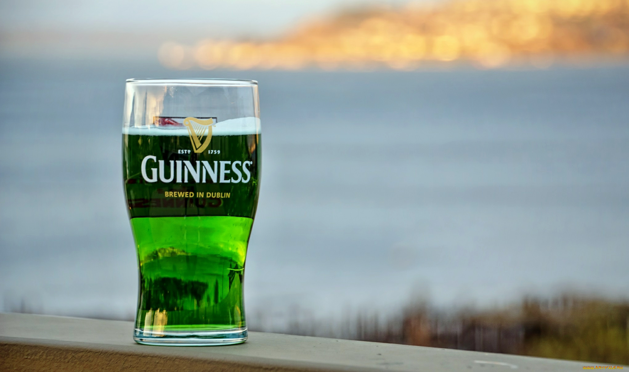 бренды, guinness, бренд, пиво, бокал