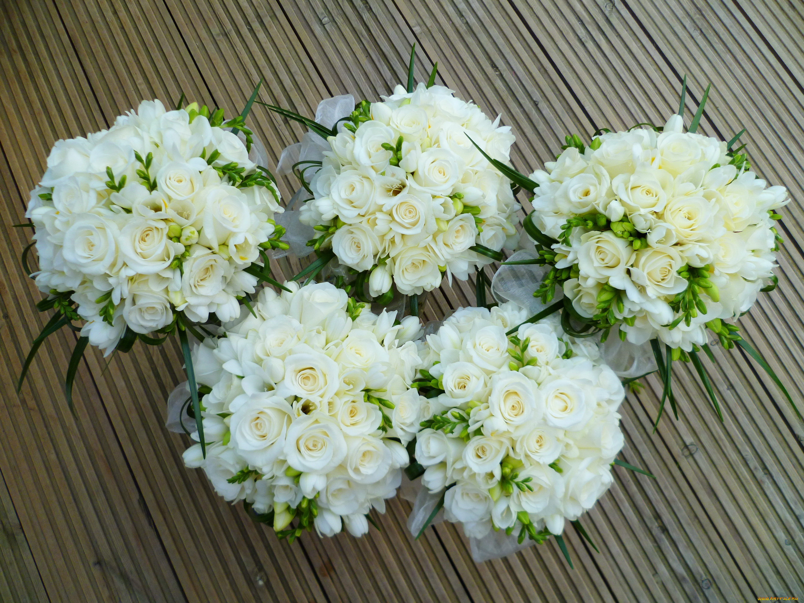 цветы, букеты, , композиции, розы, белые