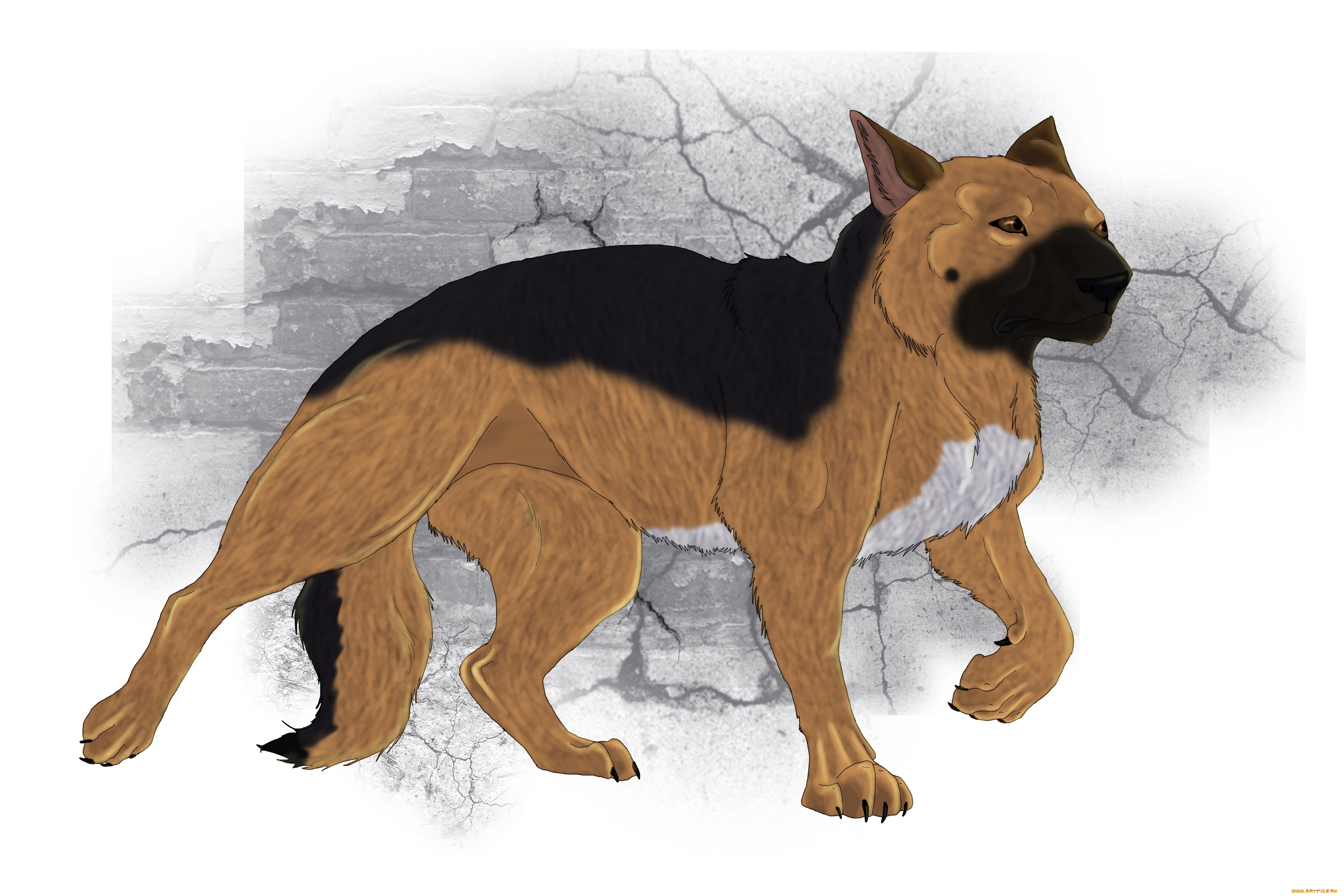 рисованные, животные, , собаки, собака