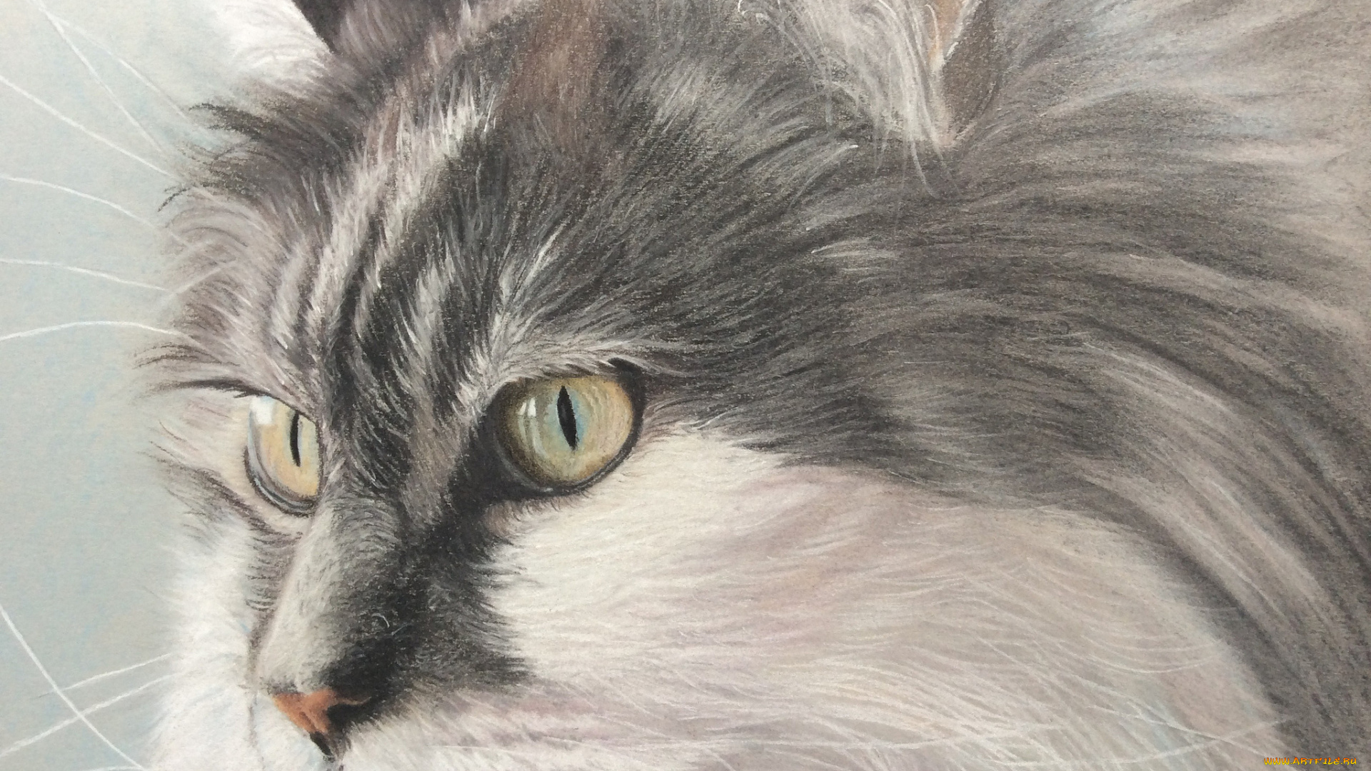 рисованное, животные, , коты, пушистый, кот, живопись, взгляд