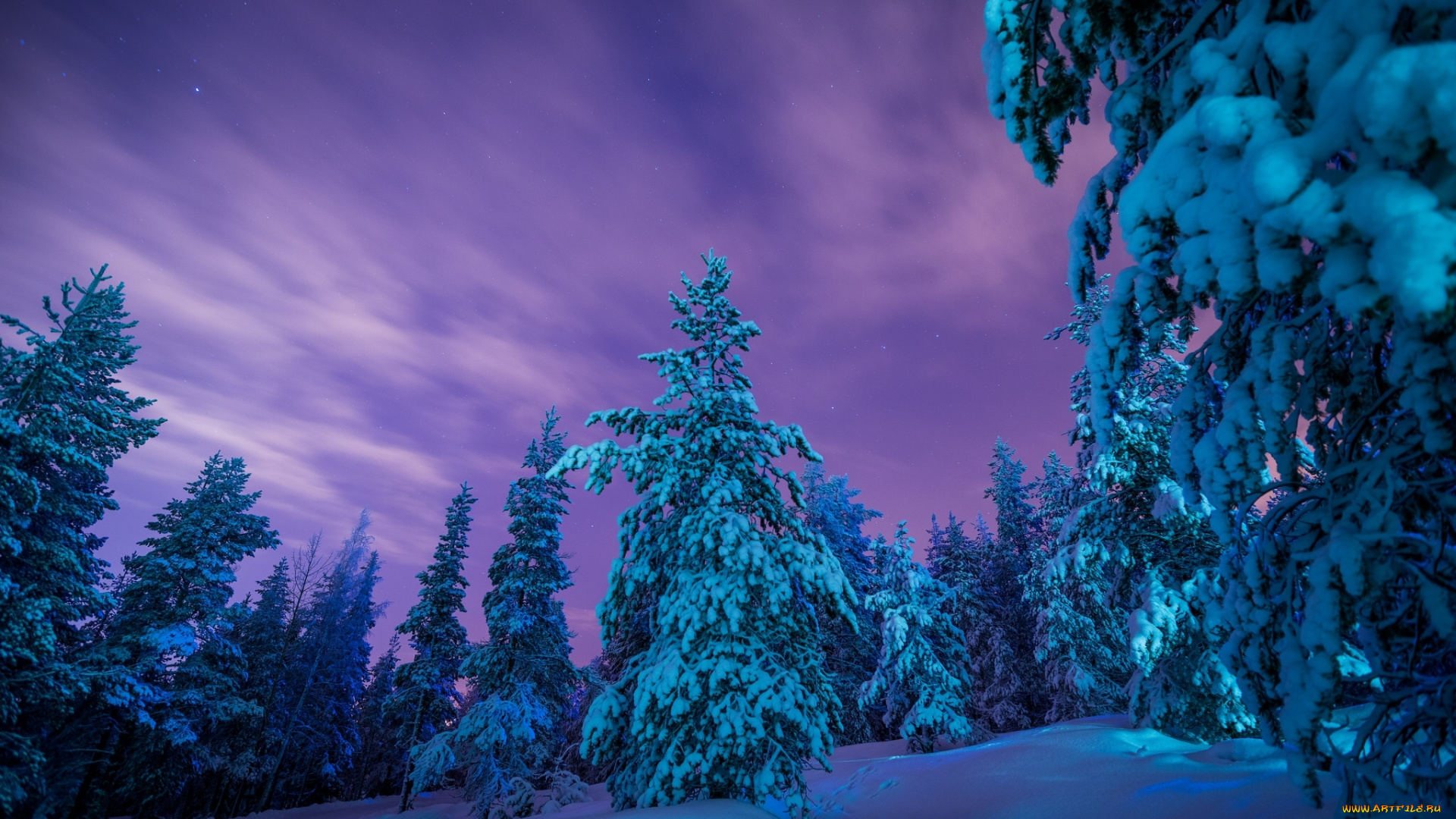 природа, зима, сугробы, лес, снег, финляндия, лапландия, деревья, finland, lapland