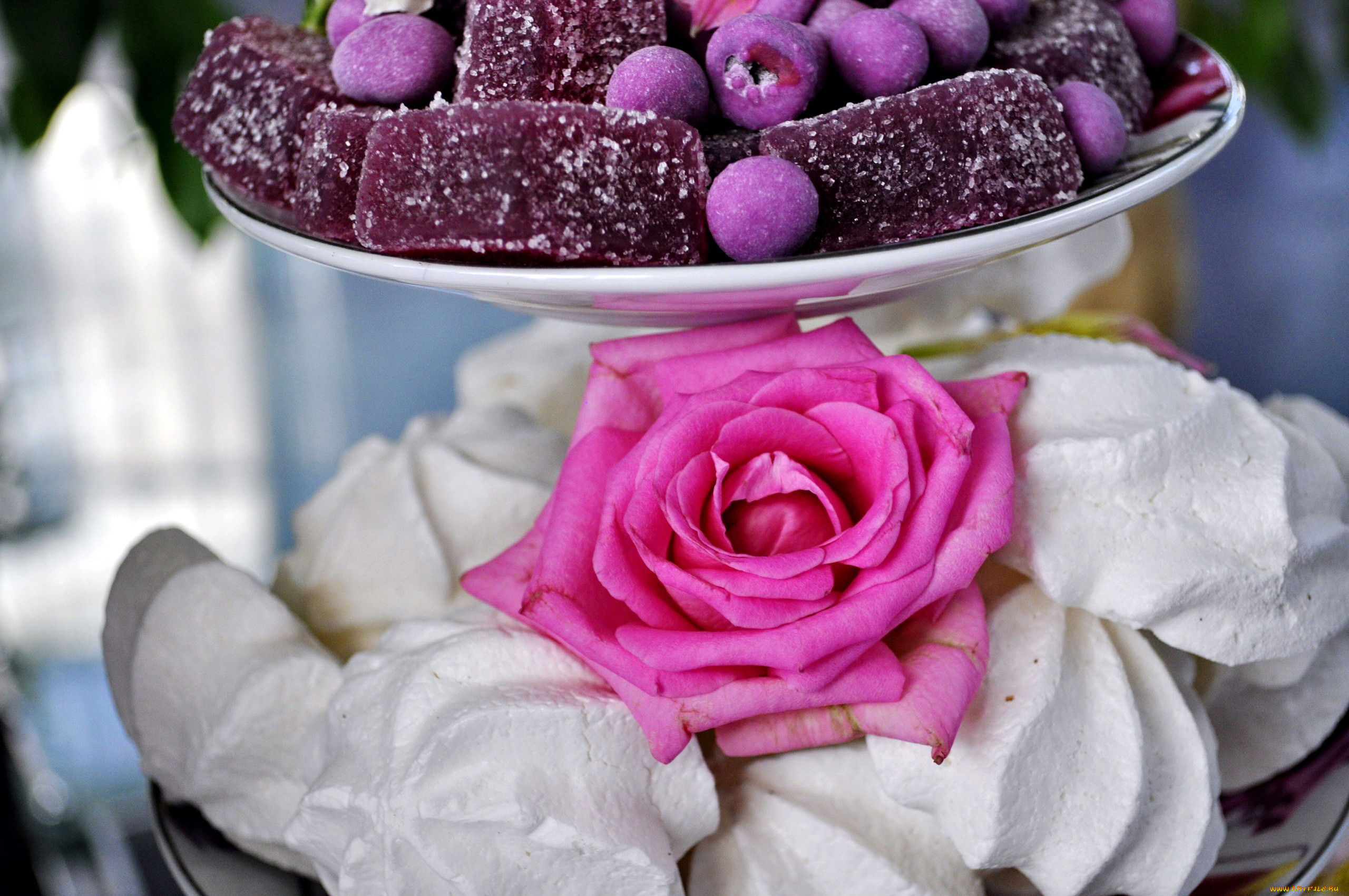 еда, конфеты, , шоколад, , сладости, роза, зефир, мармелад