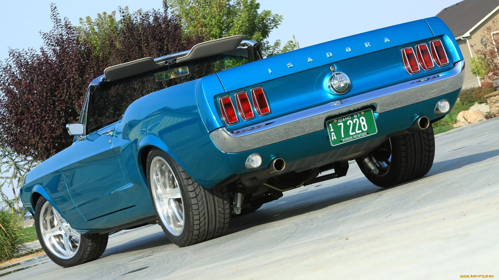 автомобили, mustang