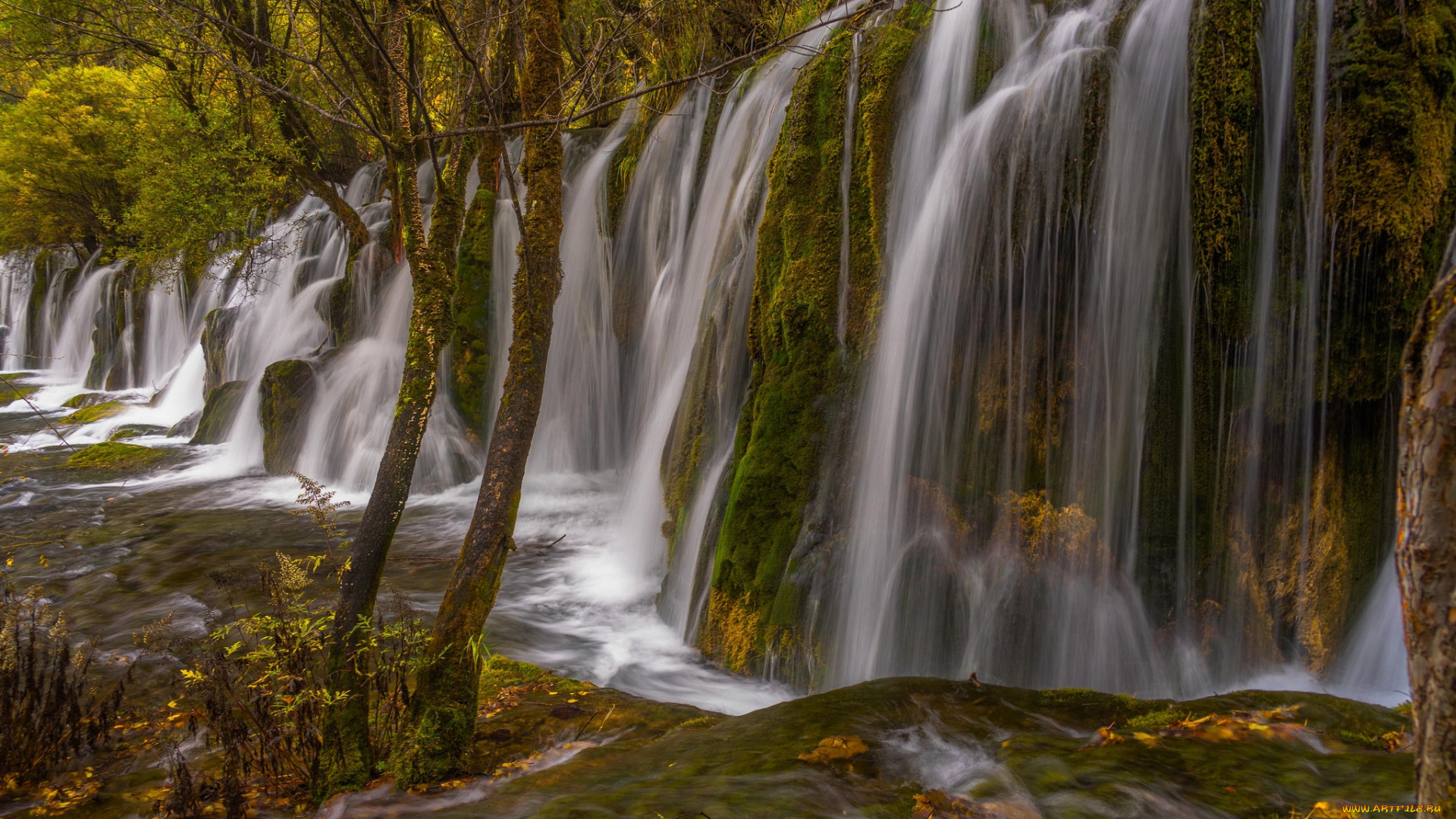 природа, водопады, деревья, поток, скала