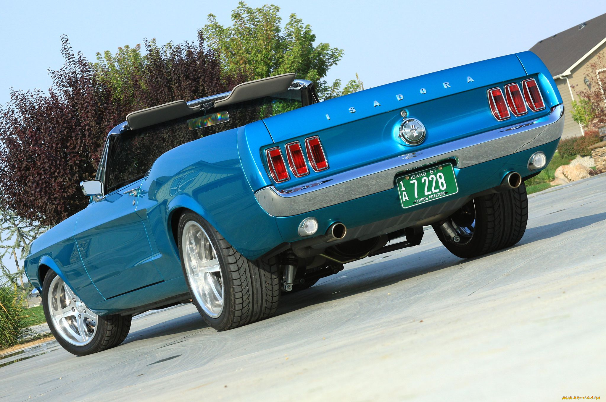 автомобили, mustang