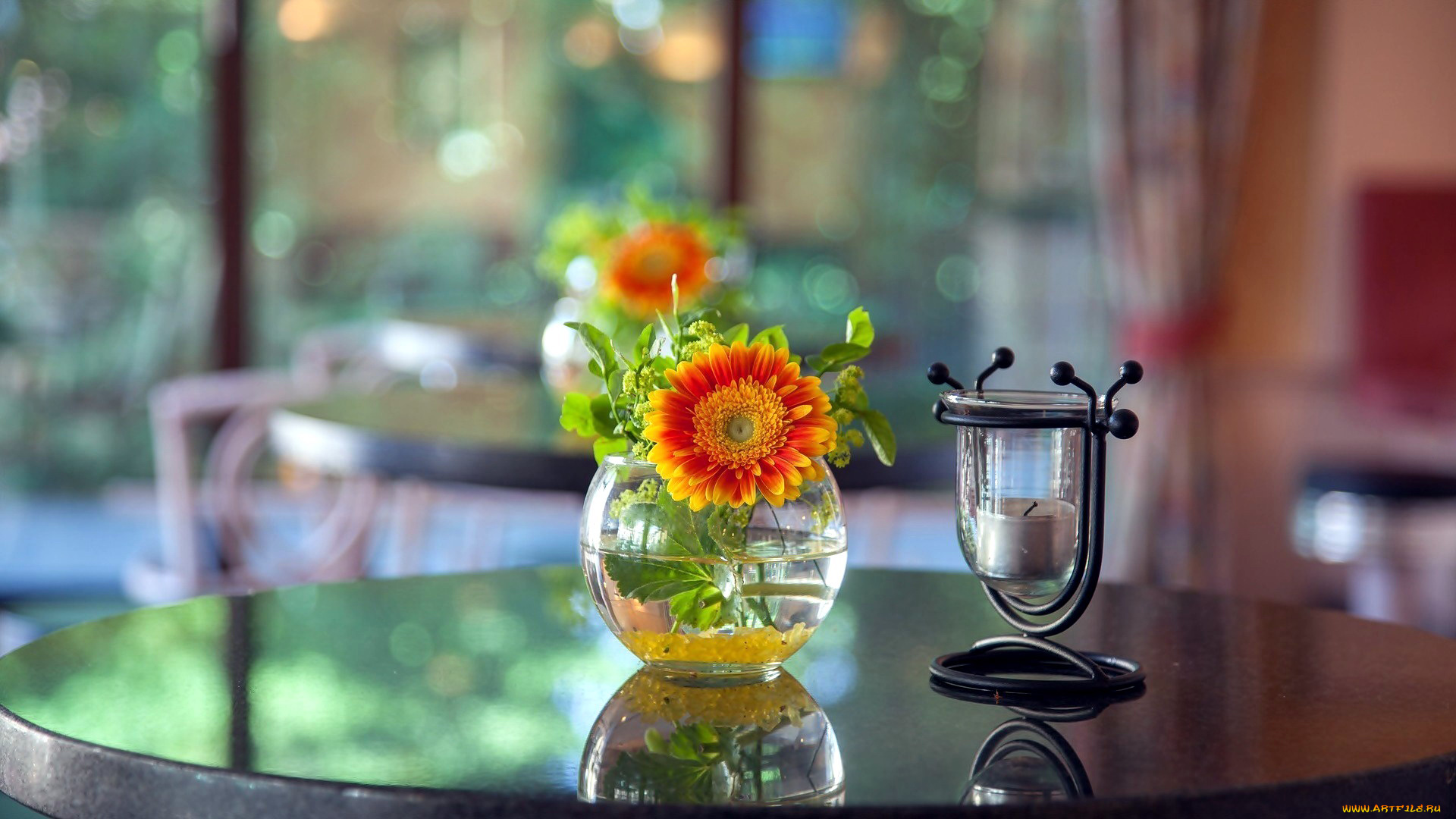 цветы, герберы, гербера, свеча