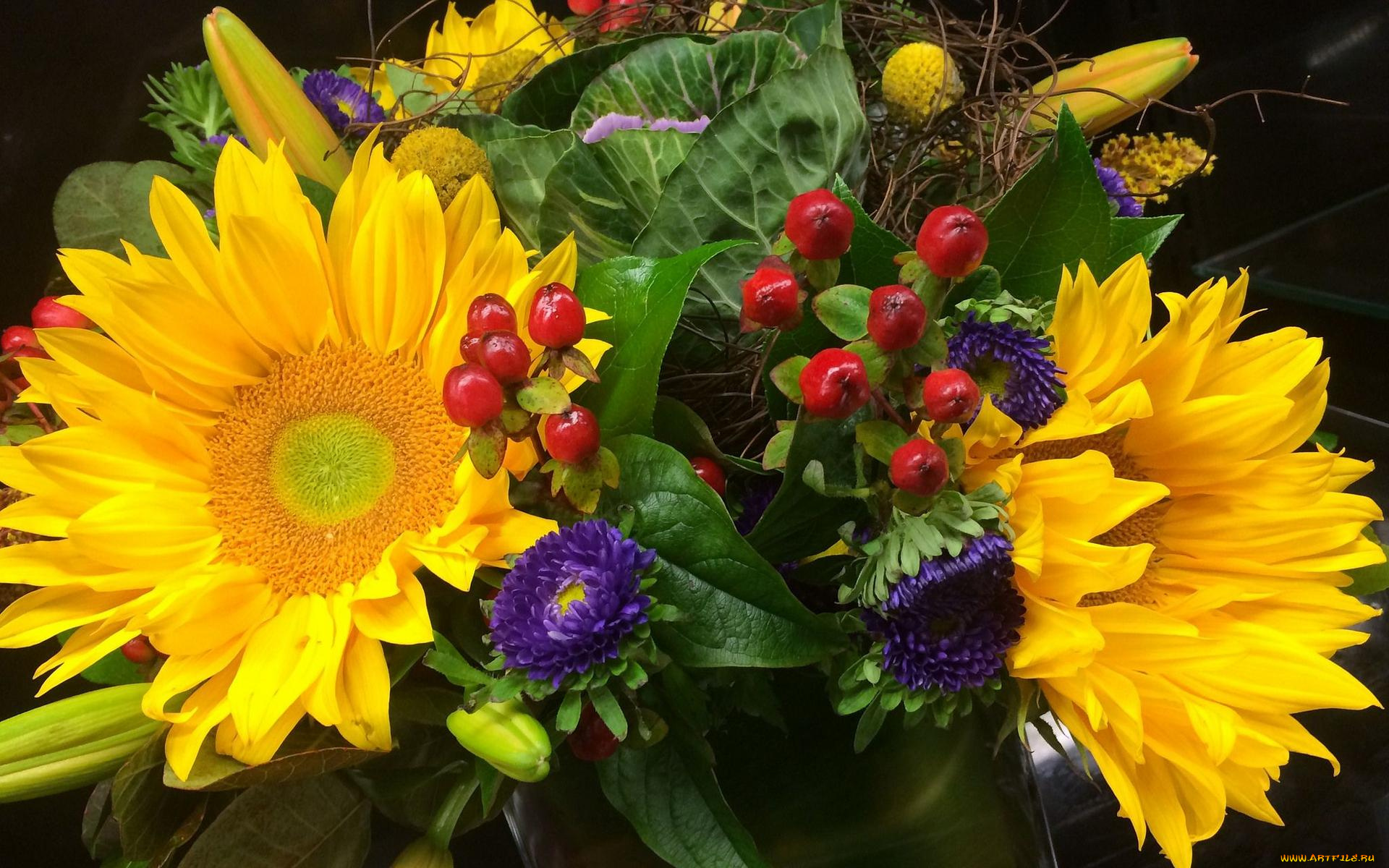 цветы, букеты, , композиции, флора, букет