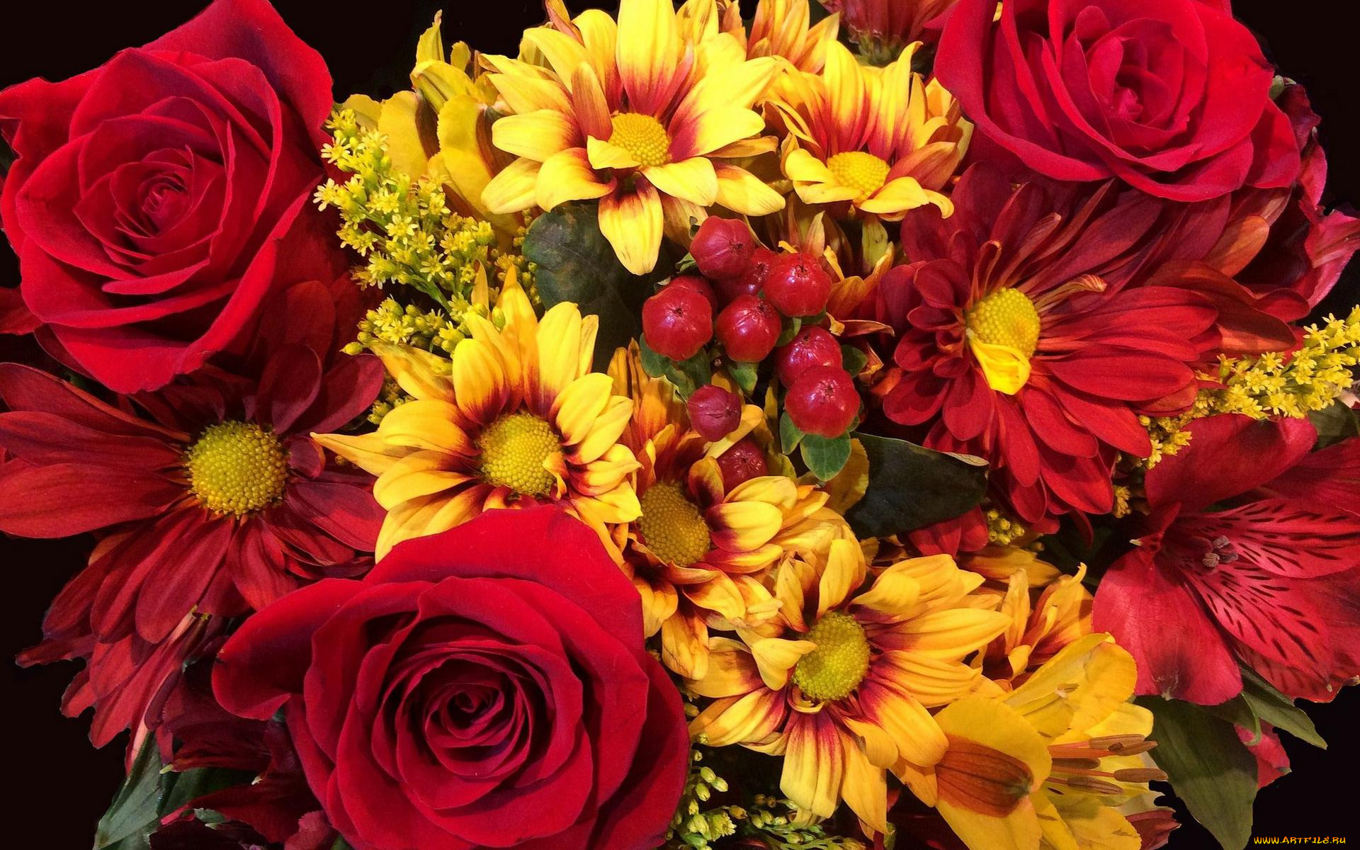 цветы, букеты, , композиции, флора, букет