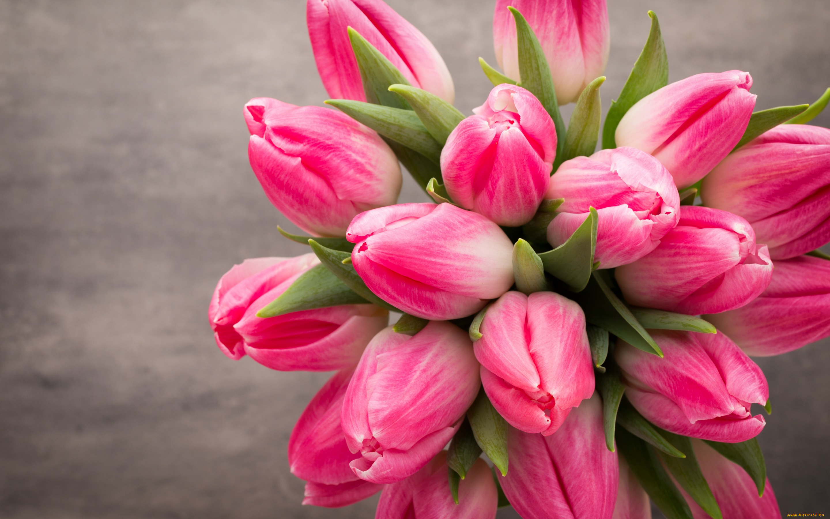 цветы, тюльпаны, beautiful, розовые, fresh, белые, tulips, букет, spring, flowers