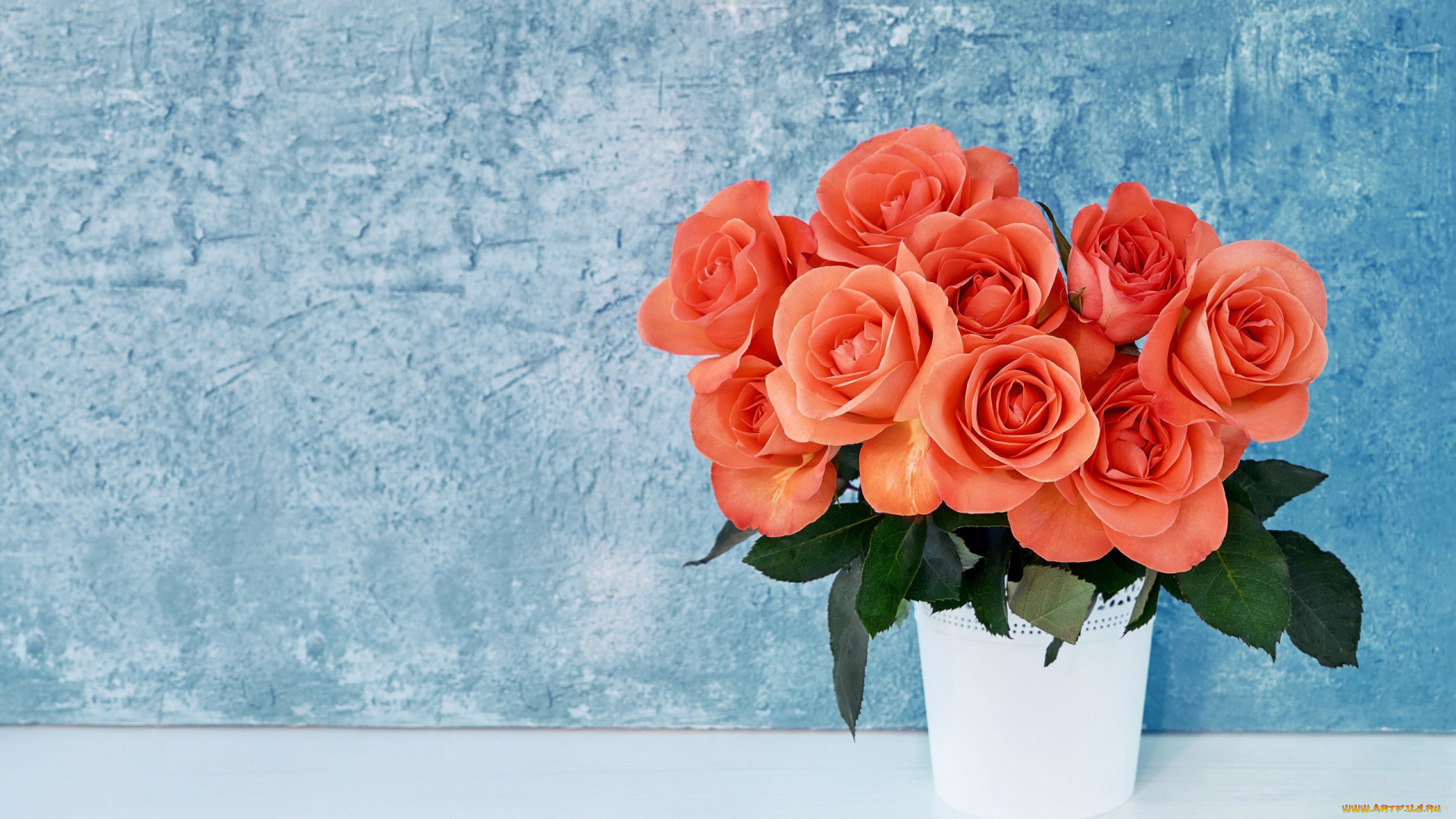 цветы, розы, букет