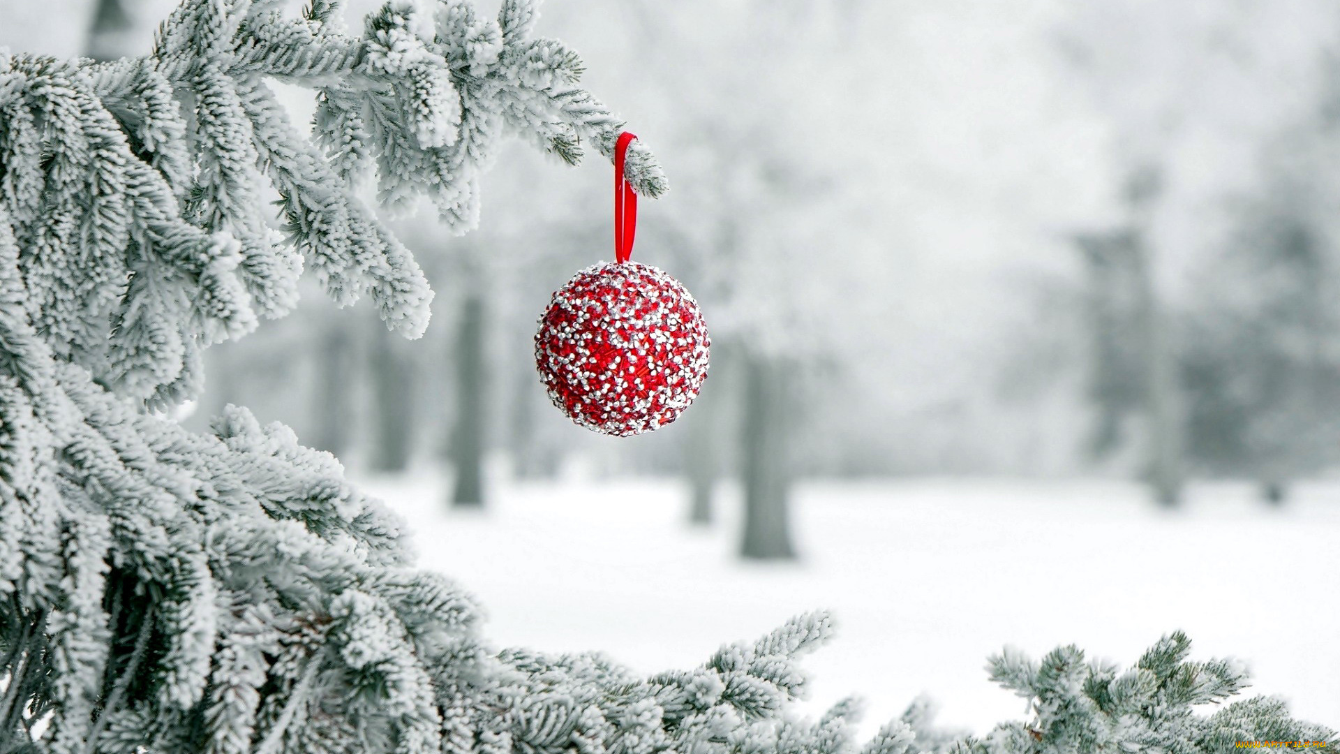 праздничные, шары, снег, шарик, елка