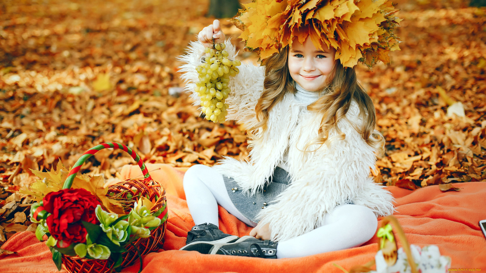 разное, настроения, виноград, осень, листья