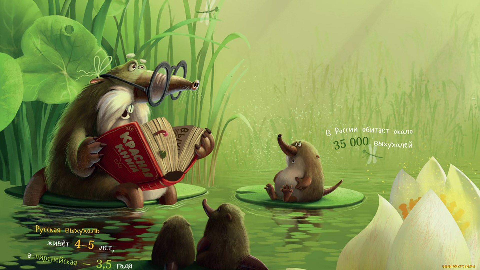 юмор, и, приколы, чтение, игра, красная, книга, прикол, выхухоль, шутка, имена