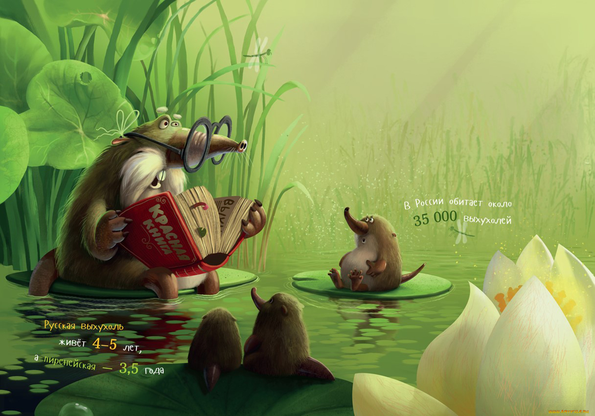 юмор, и, приколы, чтение, игра, красная, книга, прикол, выхухоль, шутка, имена