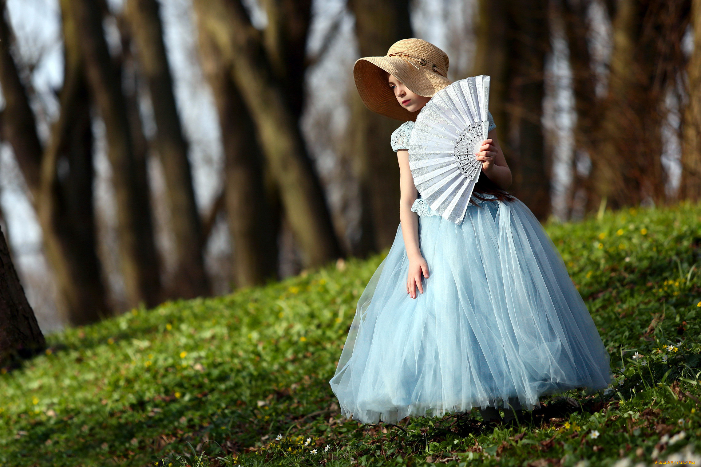 разное, настроения, шляпка, веер