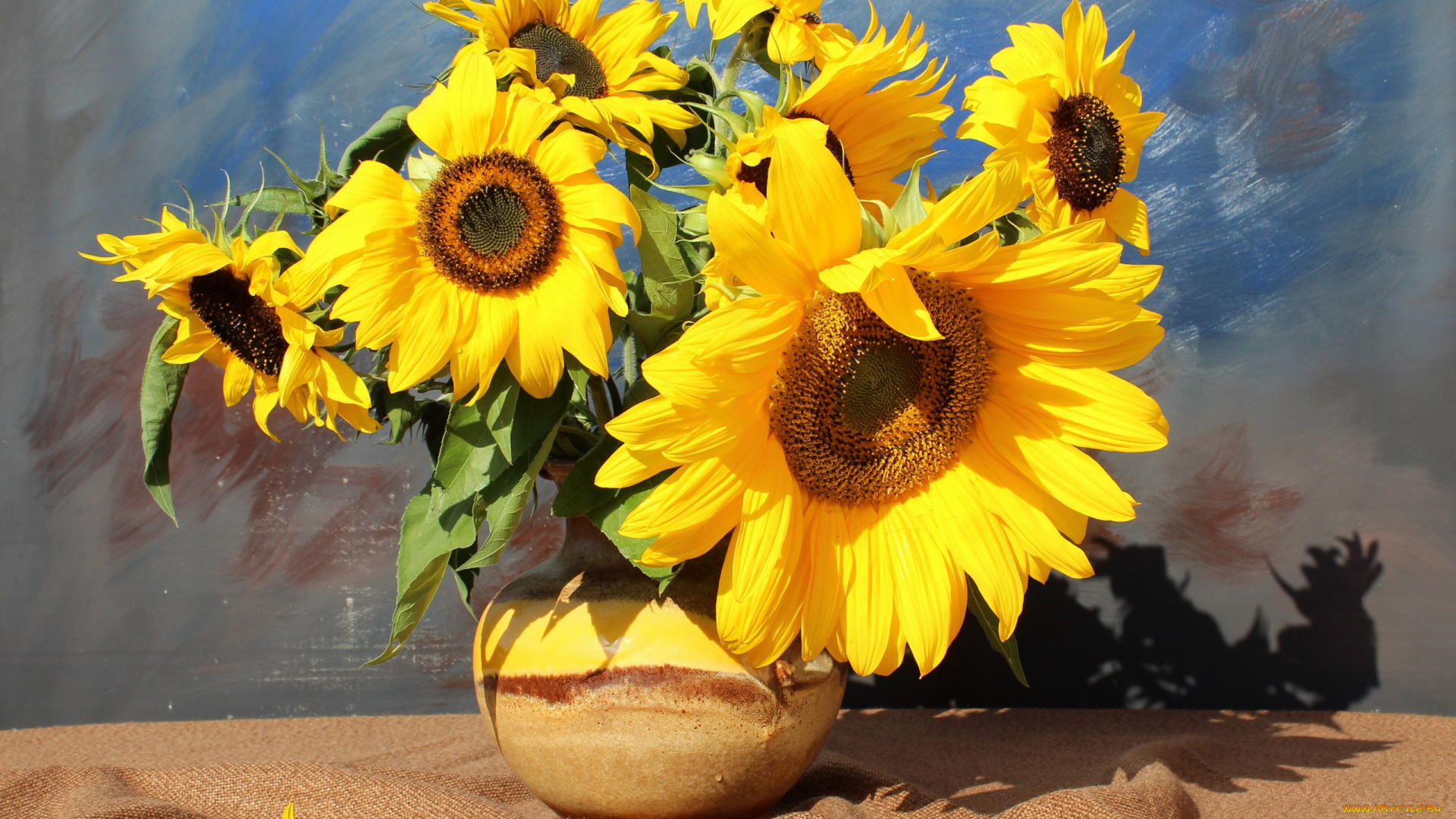 цветы, подсолнухи, подсолнух