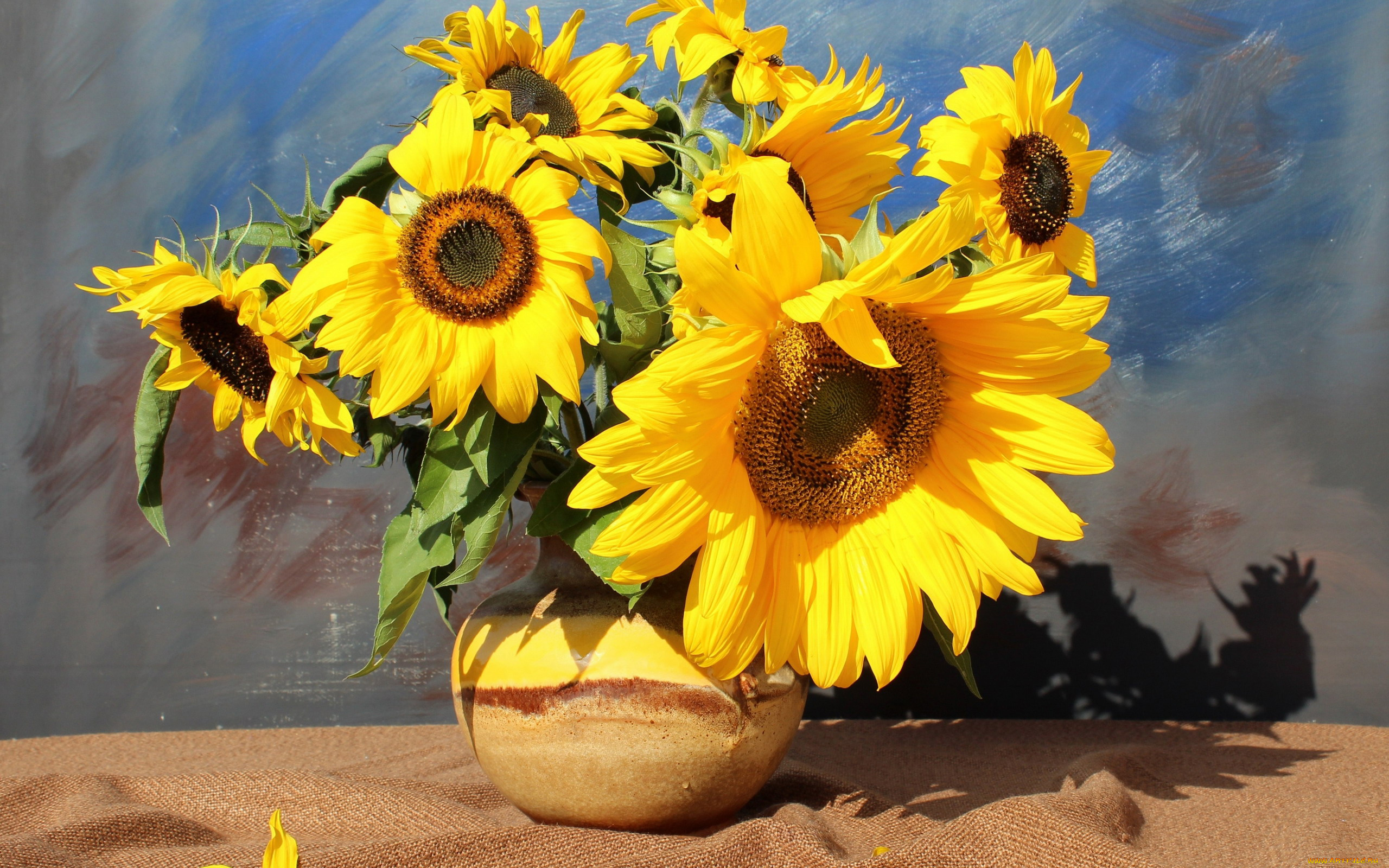 цветы, подсолнухи, подсолнух