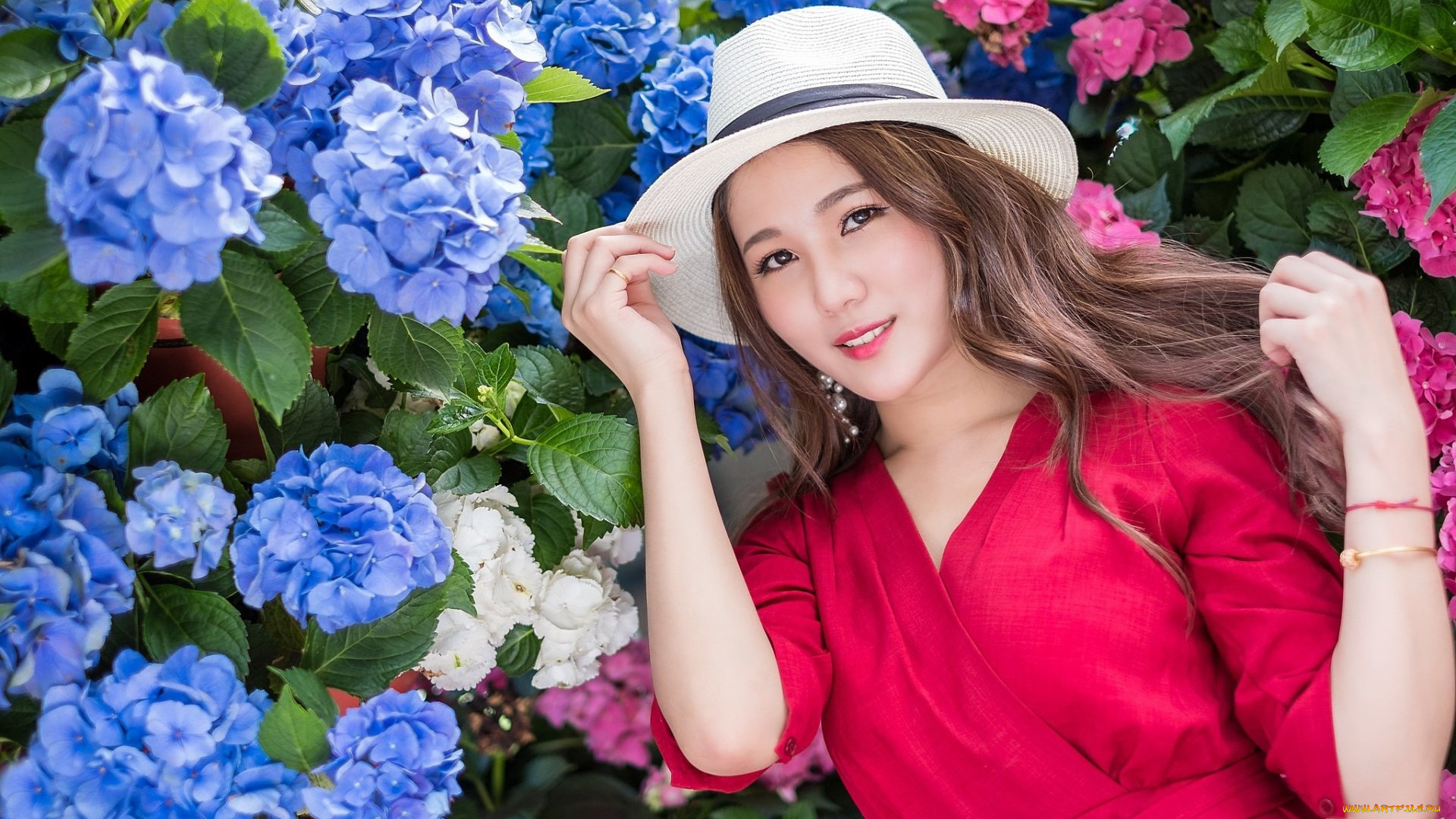 девушки, -, азиатки, девушка, шляпа, гортензия