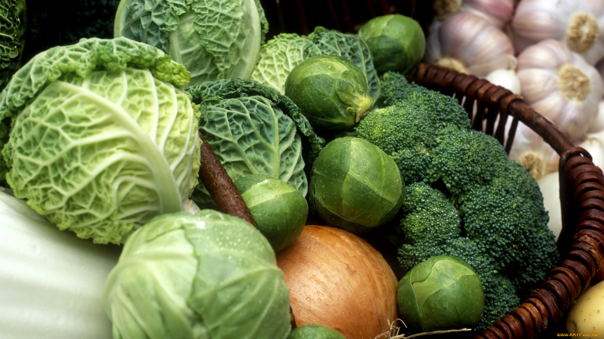 еда, капуста, и, её, разновидности, белокочанная, савойская, брюссельская, капуста, брокколи