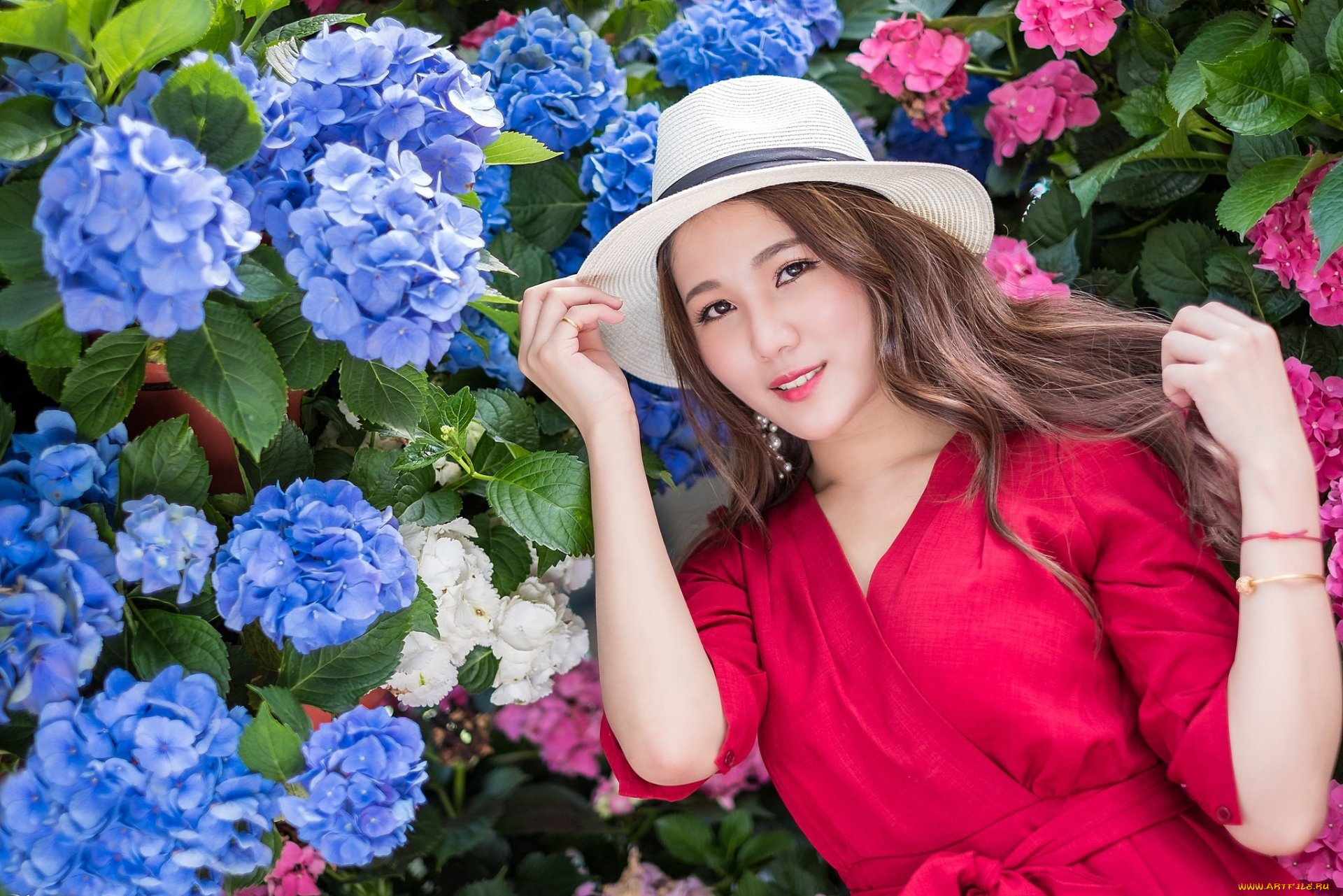 девушки, -, азиатки, девушка, шляпа, гортензия