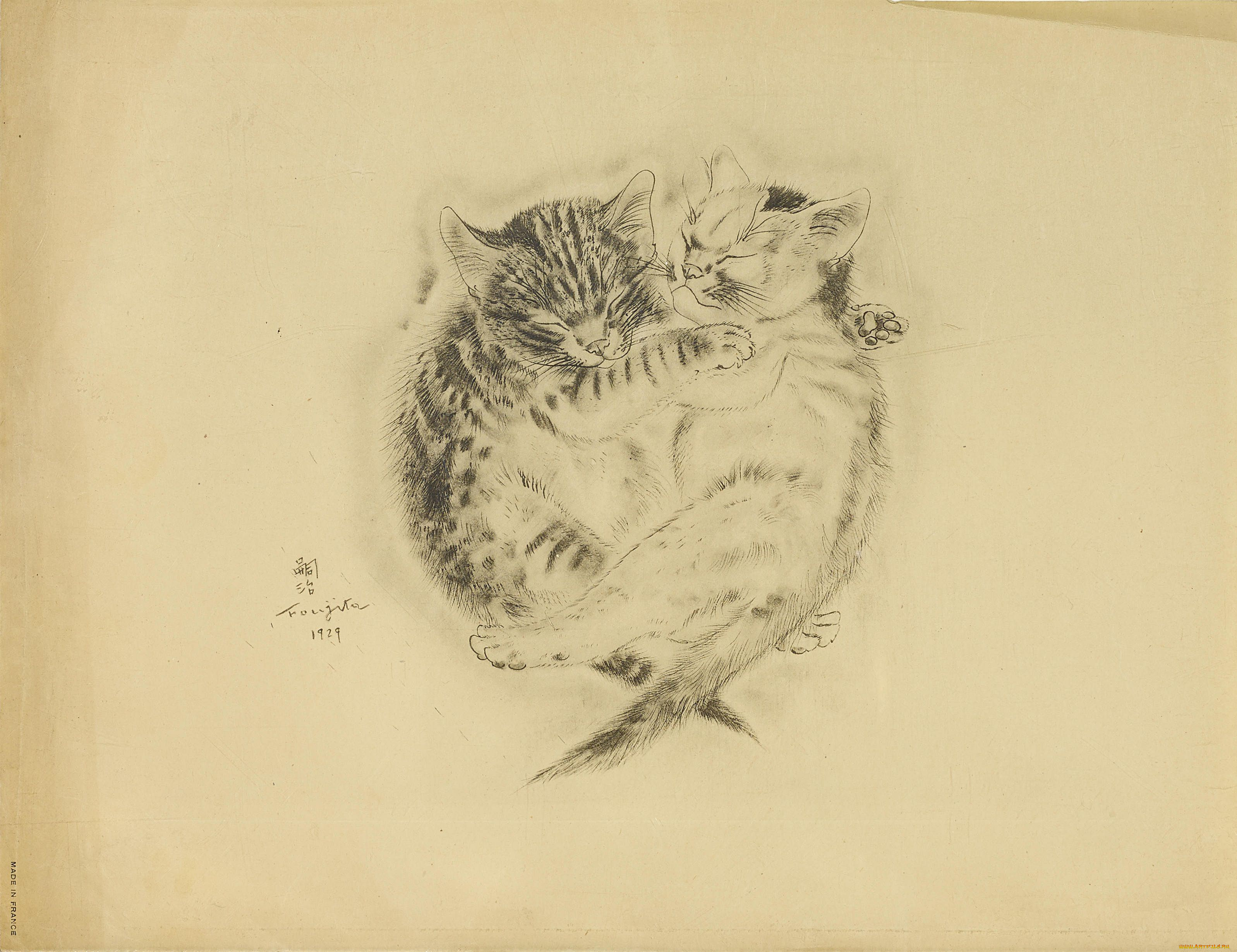 рисованное, животные, , коты, кот, кошка