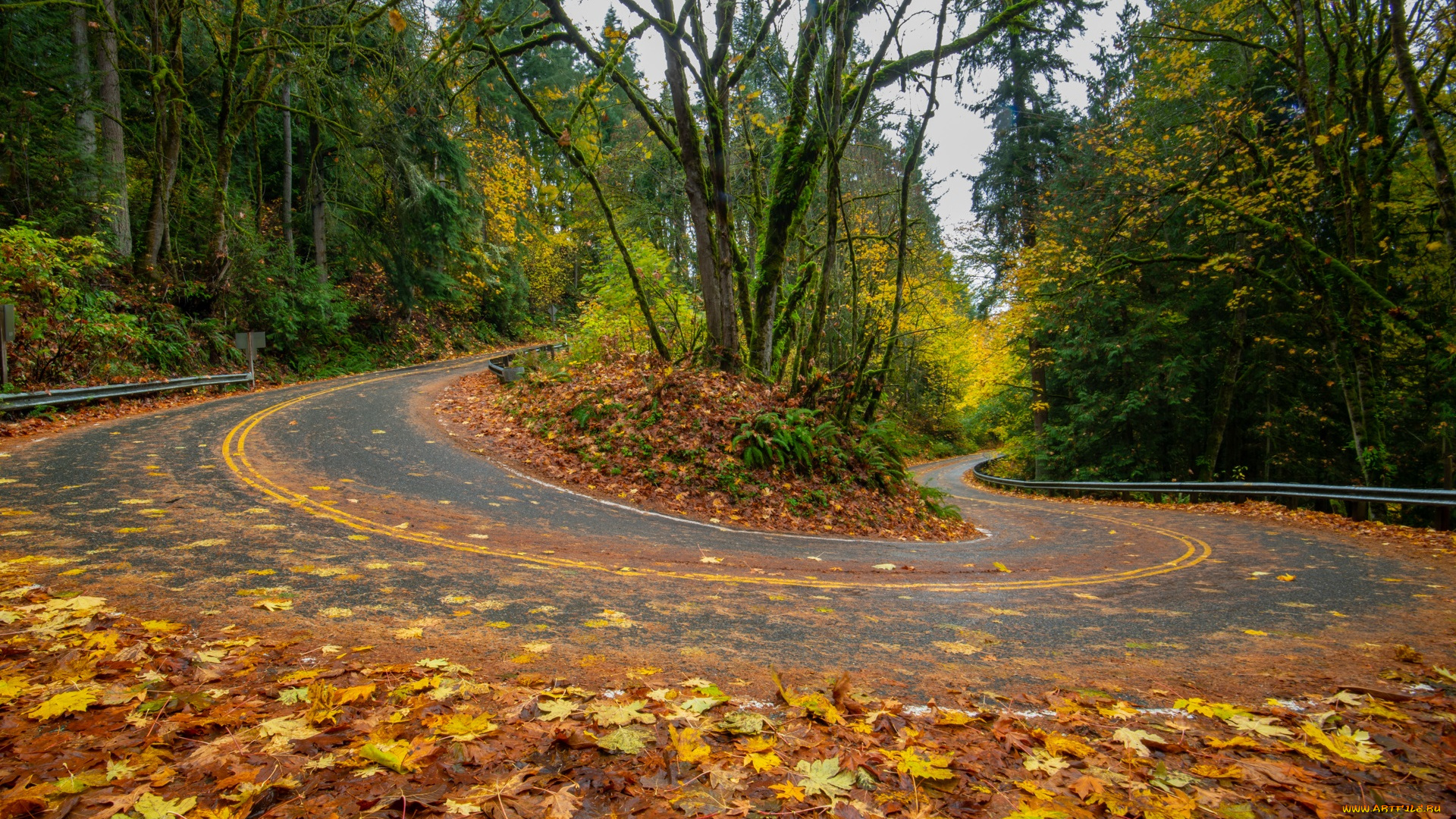 природа, дороги, пейзаж