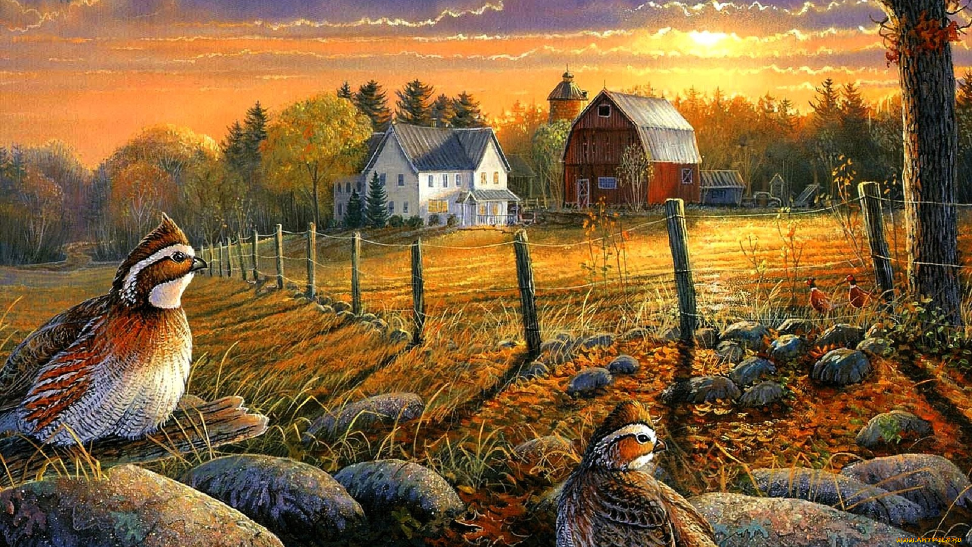 рисованное, sam, timm, птицы, камни, лес, поле, дома, закат