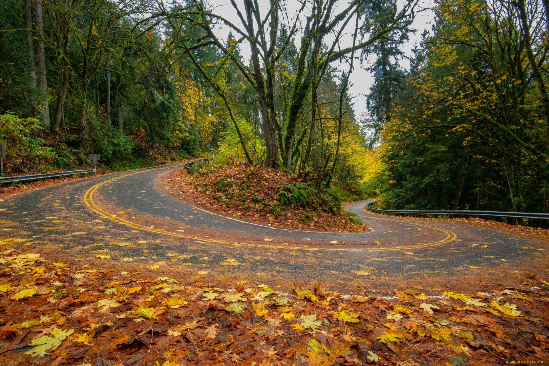 природа, дороги, пейзаж