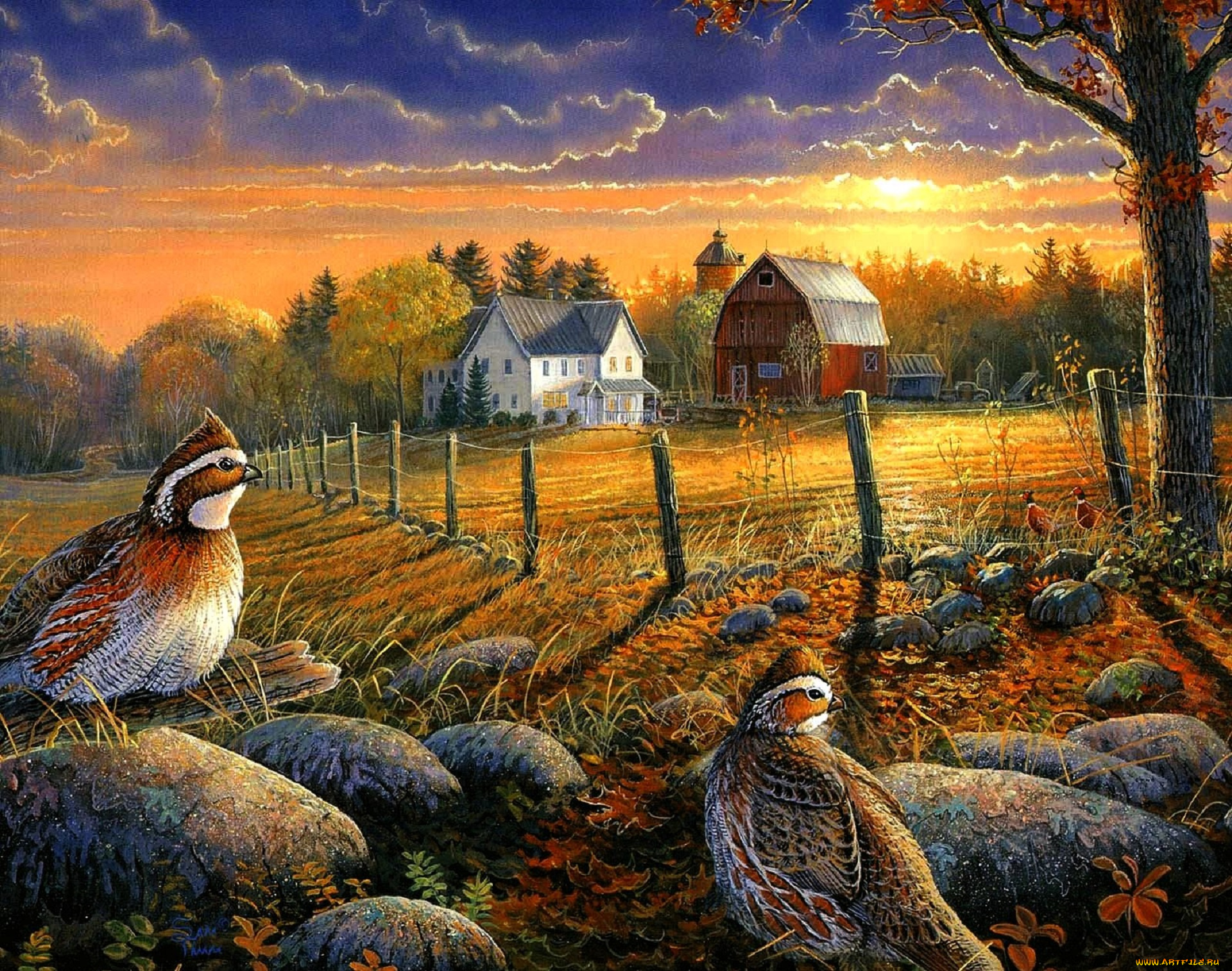 рисованное, sam, timm, птицы, камни, лес, поле, дома, закат