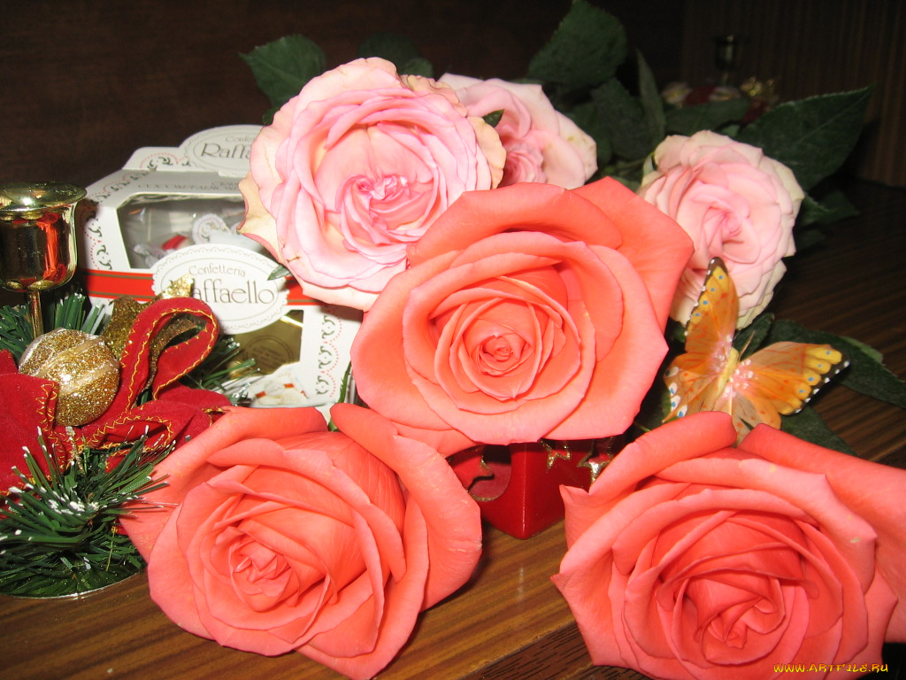 цветы, розы