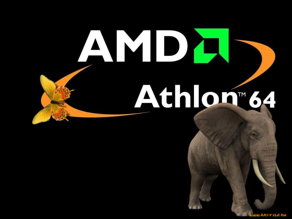 компьютеры, amd