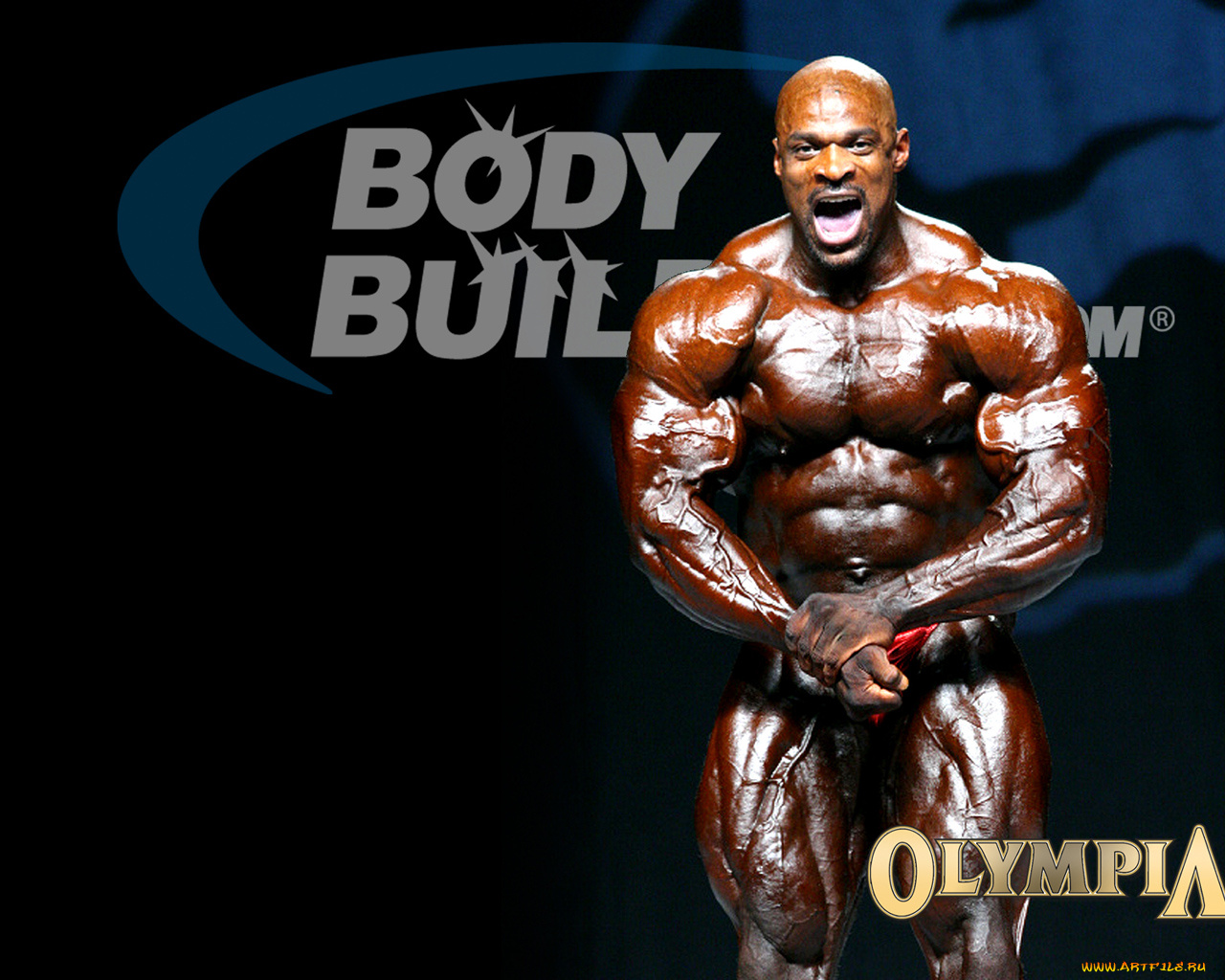 спорт, body, building