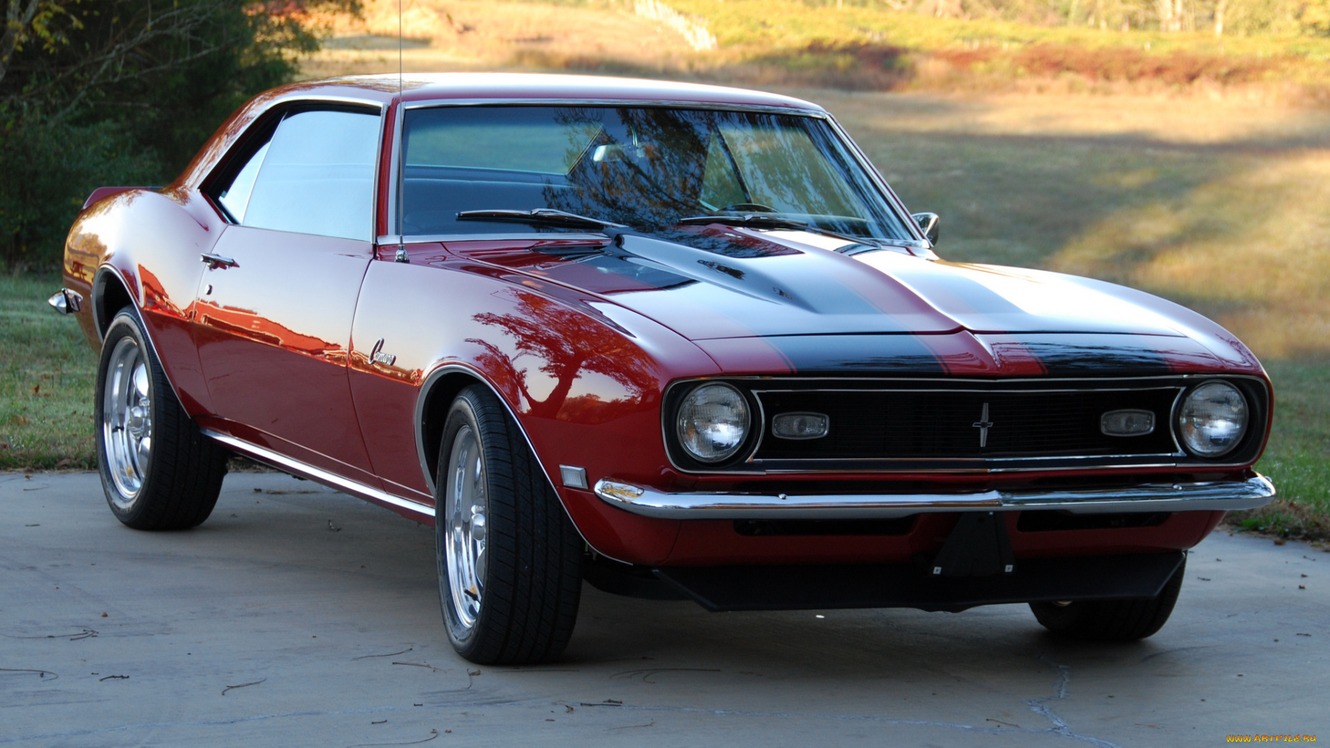 автомобили, camaro