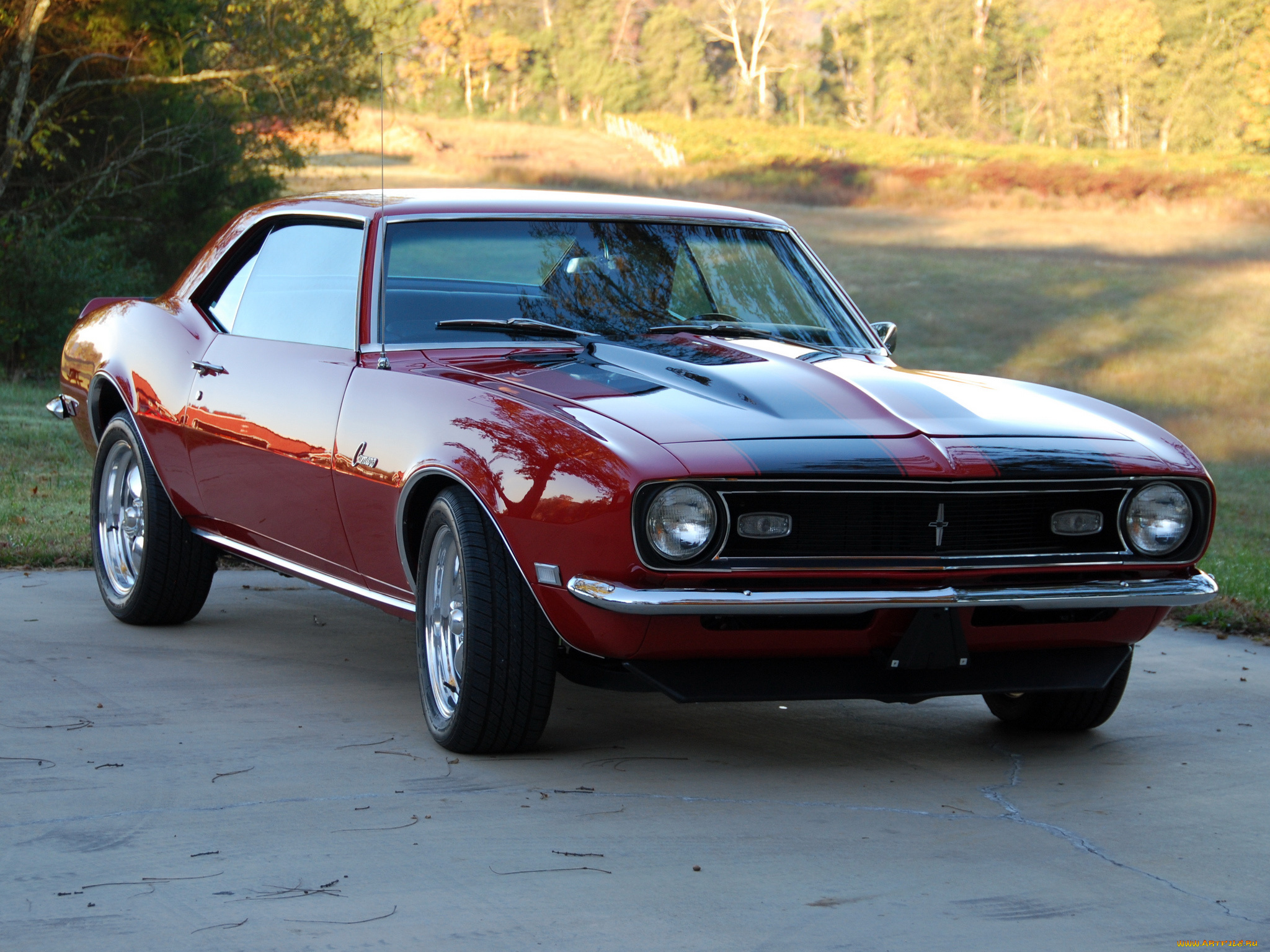 автомобили, camaro