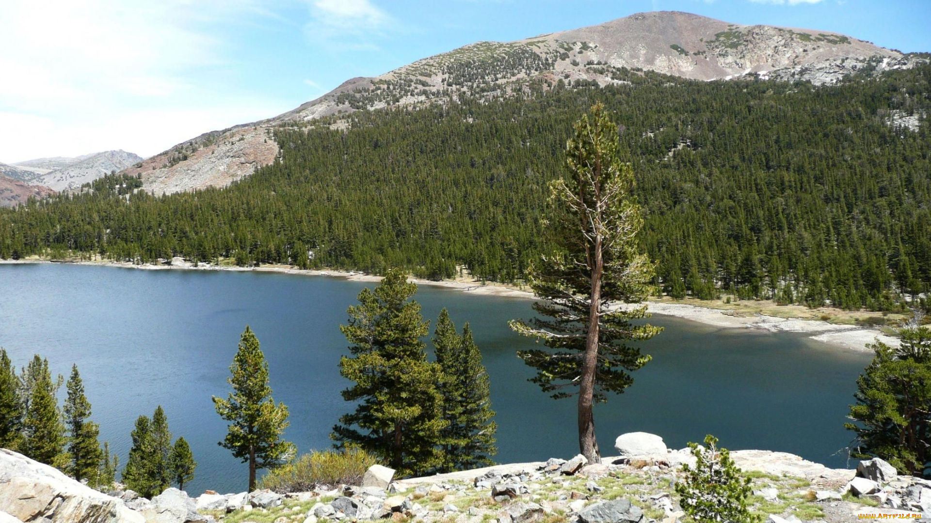 природа, реки, озера, yosemite, tenaya