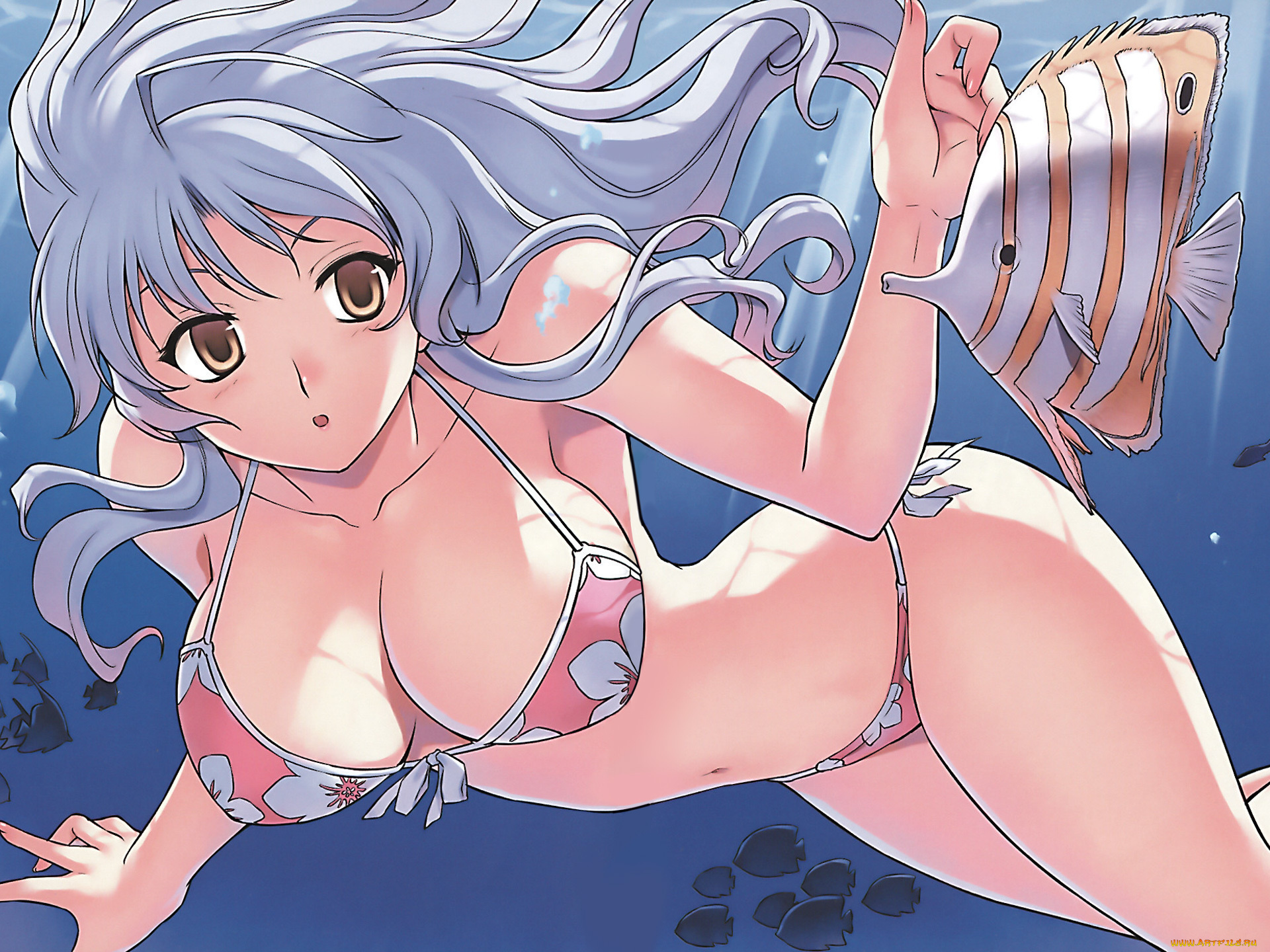 аниме, *unknown, другое, рыбы, девочка