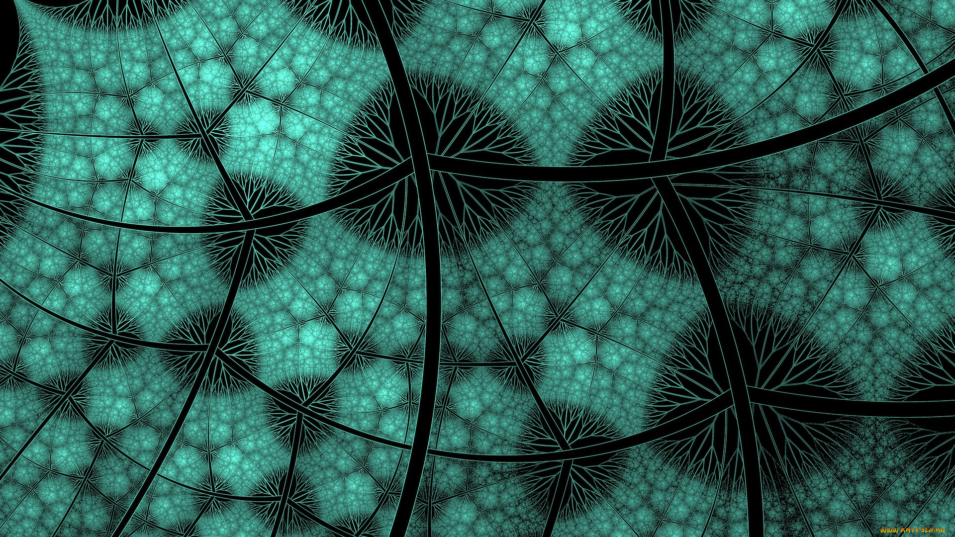 3д, графика, fractal, фракталы, абстракция, фрактал, растение